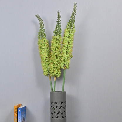 EREMURUS (PACK OF 1)