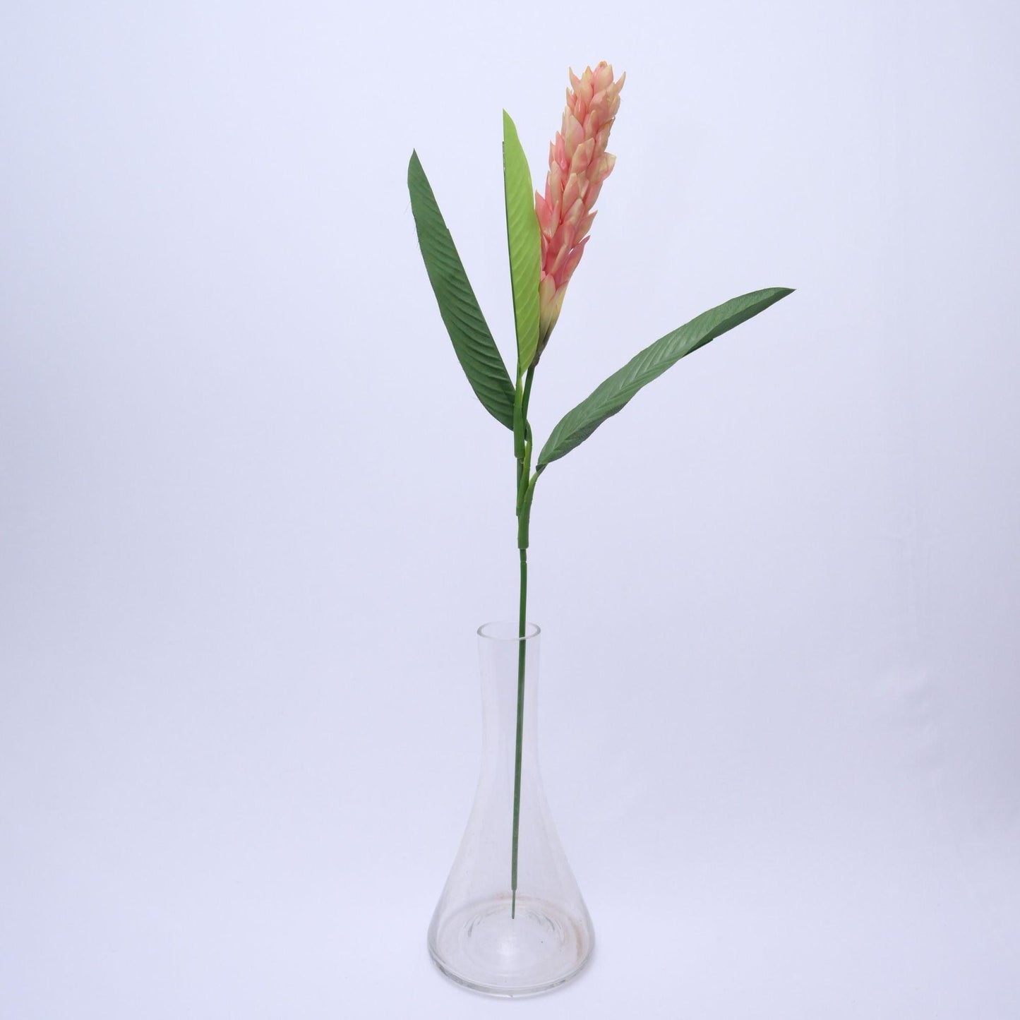 ORIENTAL FLOWERS ARTIFICIAL GINGER (PACK OF 1) - Oriental Flowers