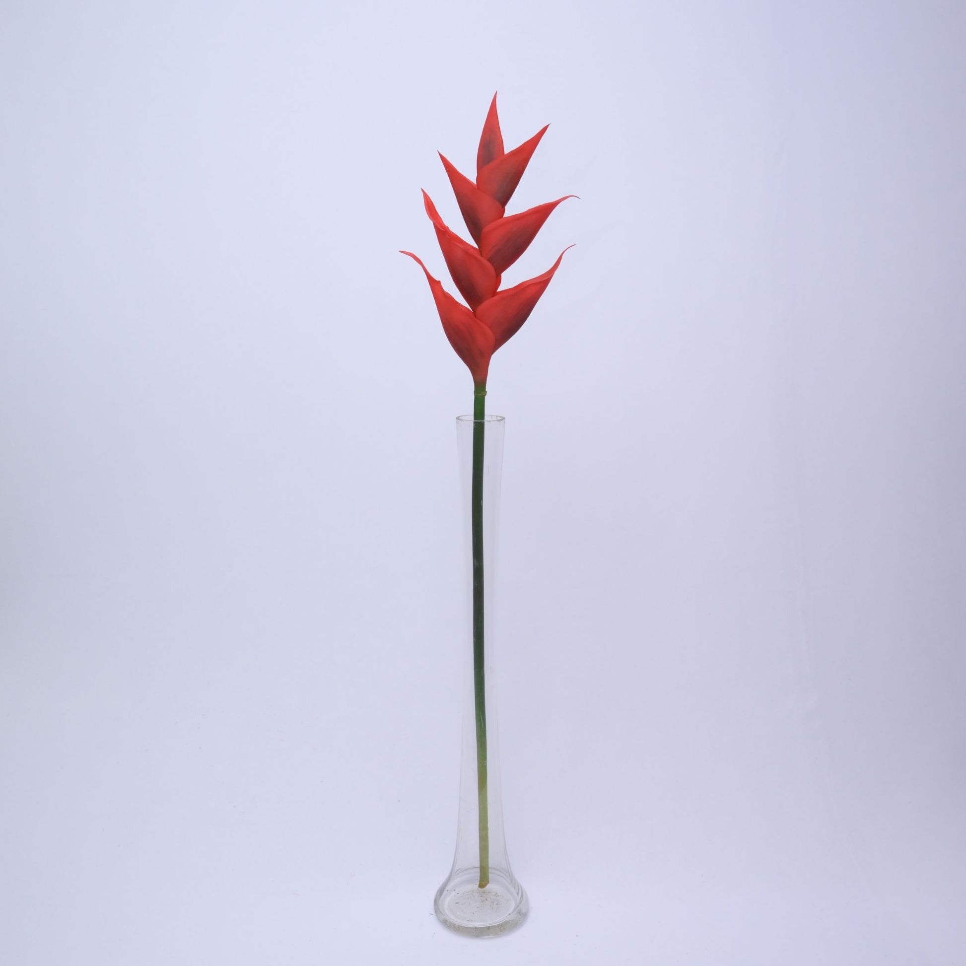 ORIENTAL FLOWERS ARTIFICIAL HELICONIA (PACK OF 1) - Oriental Flowers