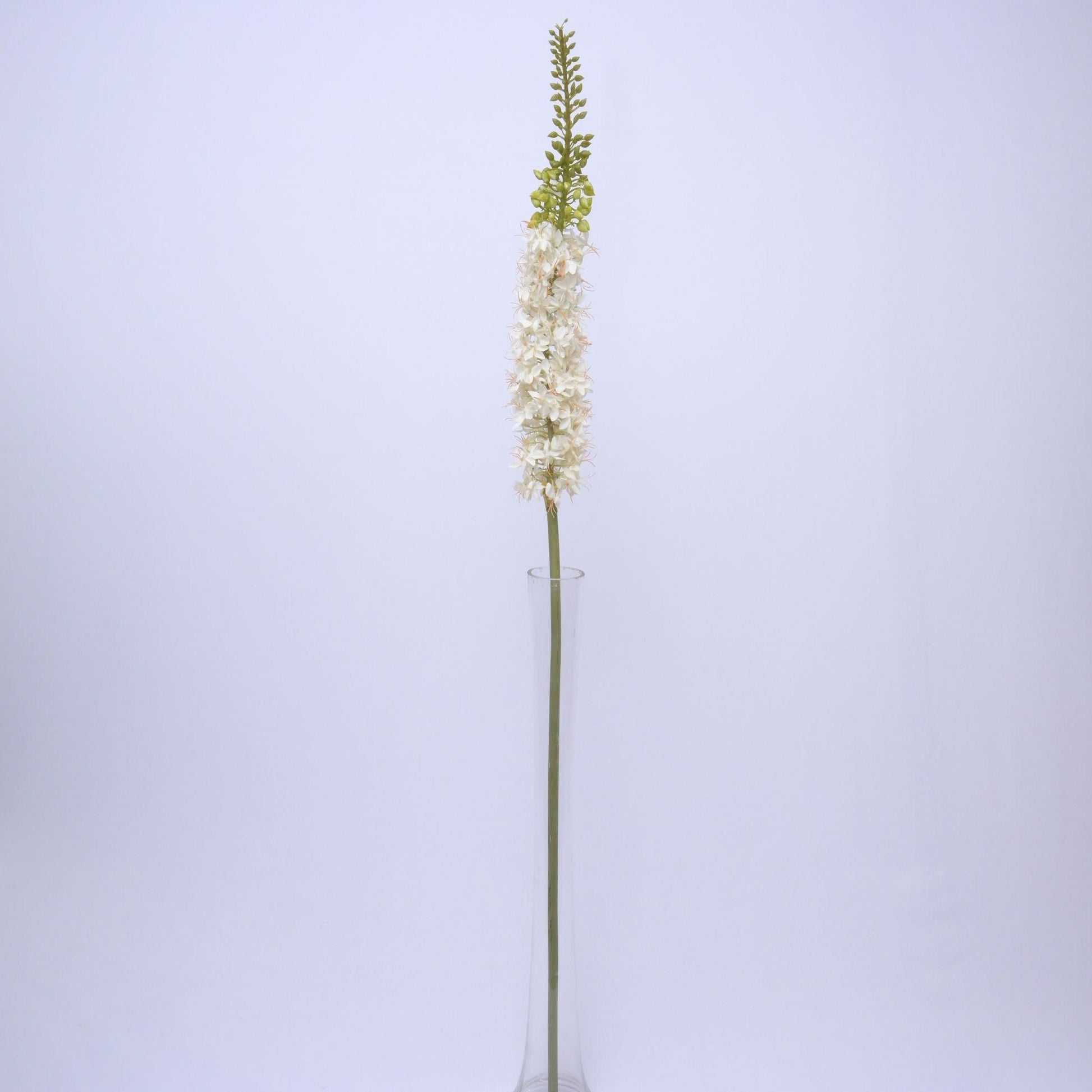 ORIENTAL FLOWERS ARTIFICIAL EREMURUS (PACK OF 1) - Oriental Flowers