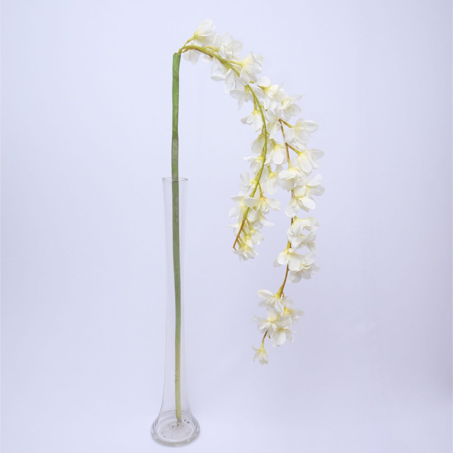 ORIENTAL FLOWERS ARTIFICIAL ORCHID HANGING DUAL STRING (PACK OF 1) - Oriental Flowers