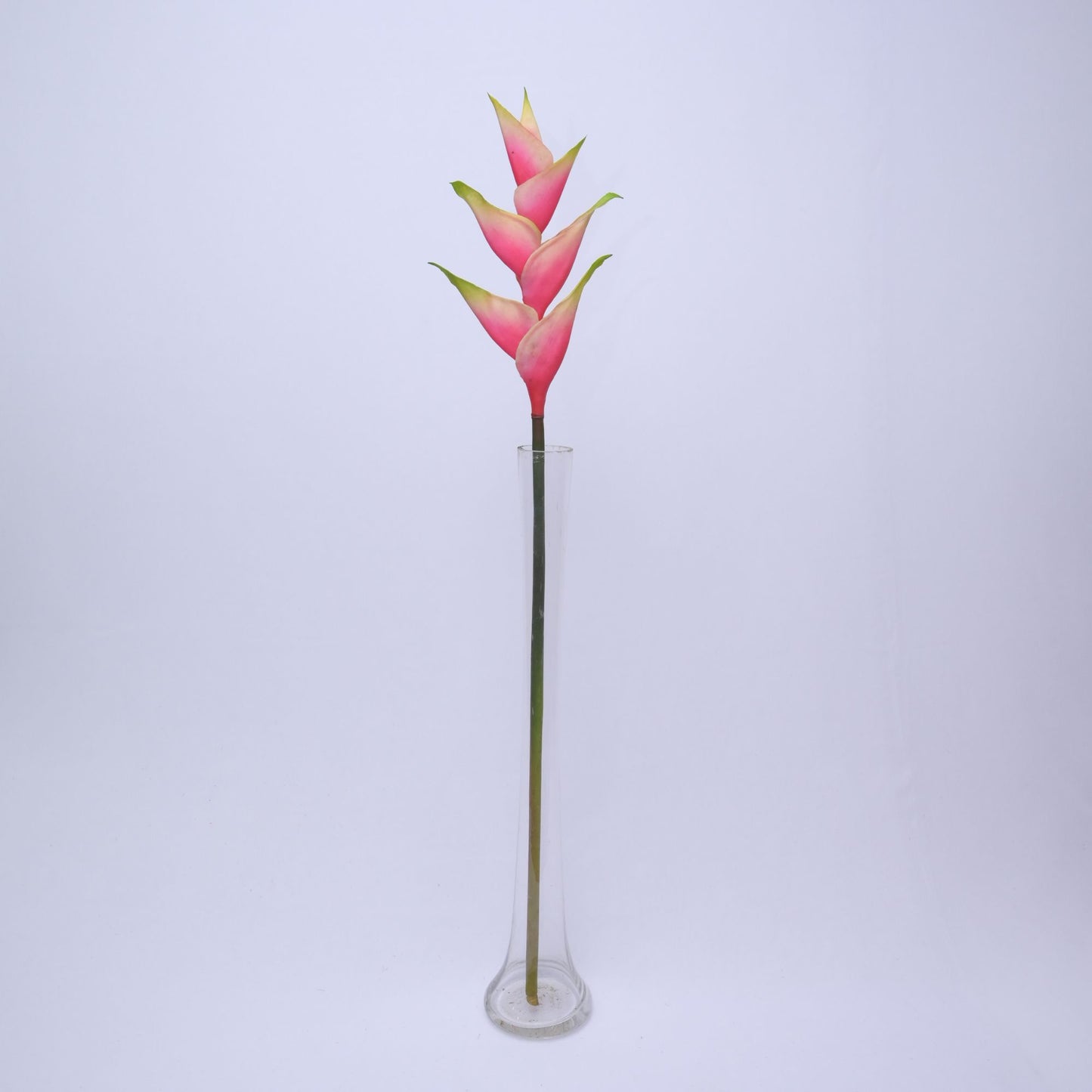 ORIENTAL FLOWERS ARTIFICIAL HELICONIA (PACK OF 1) - Oriental Flowers