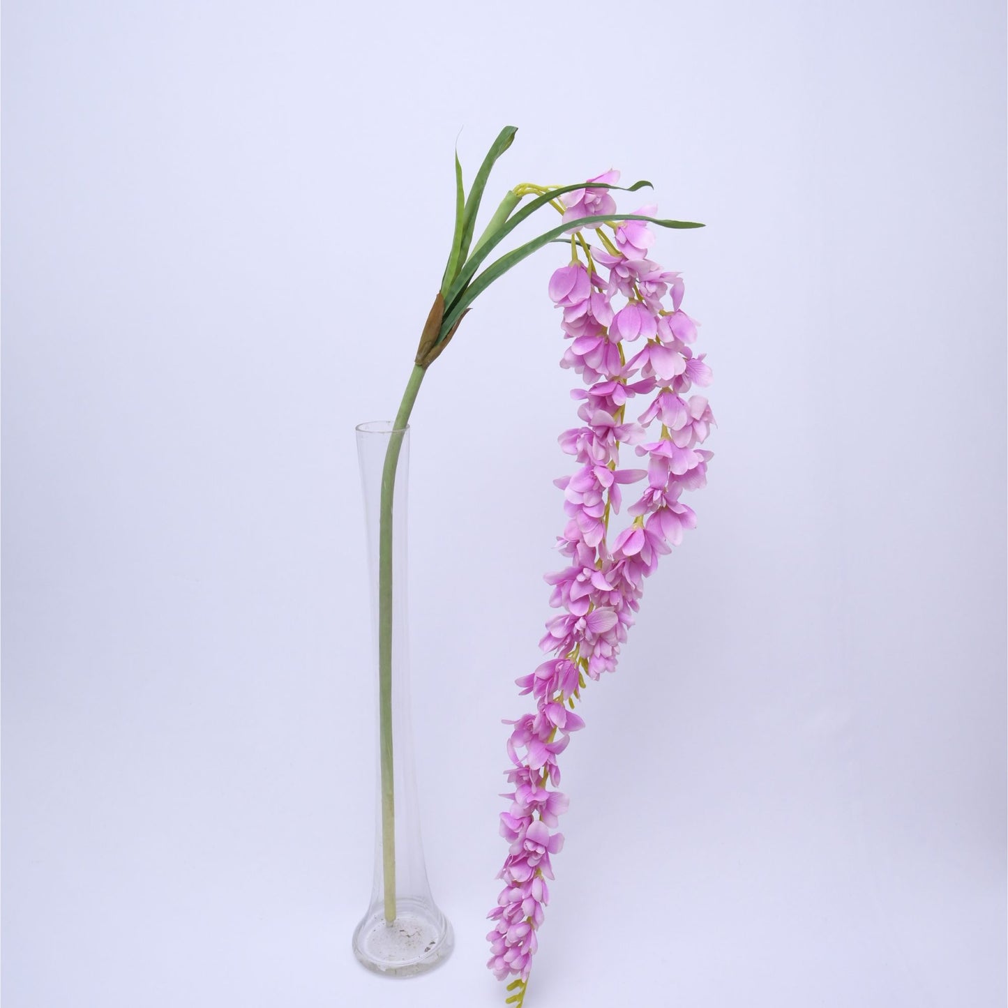 ORIENTAL FLOWERS ARTIFICIAL ORCHID HANGING DUAL STRING (PACK OF 1) - Oriental Flowers