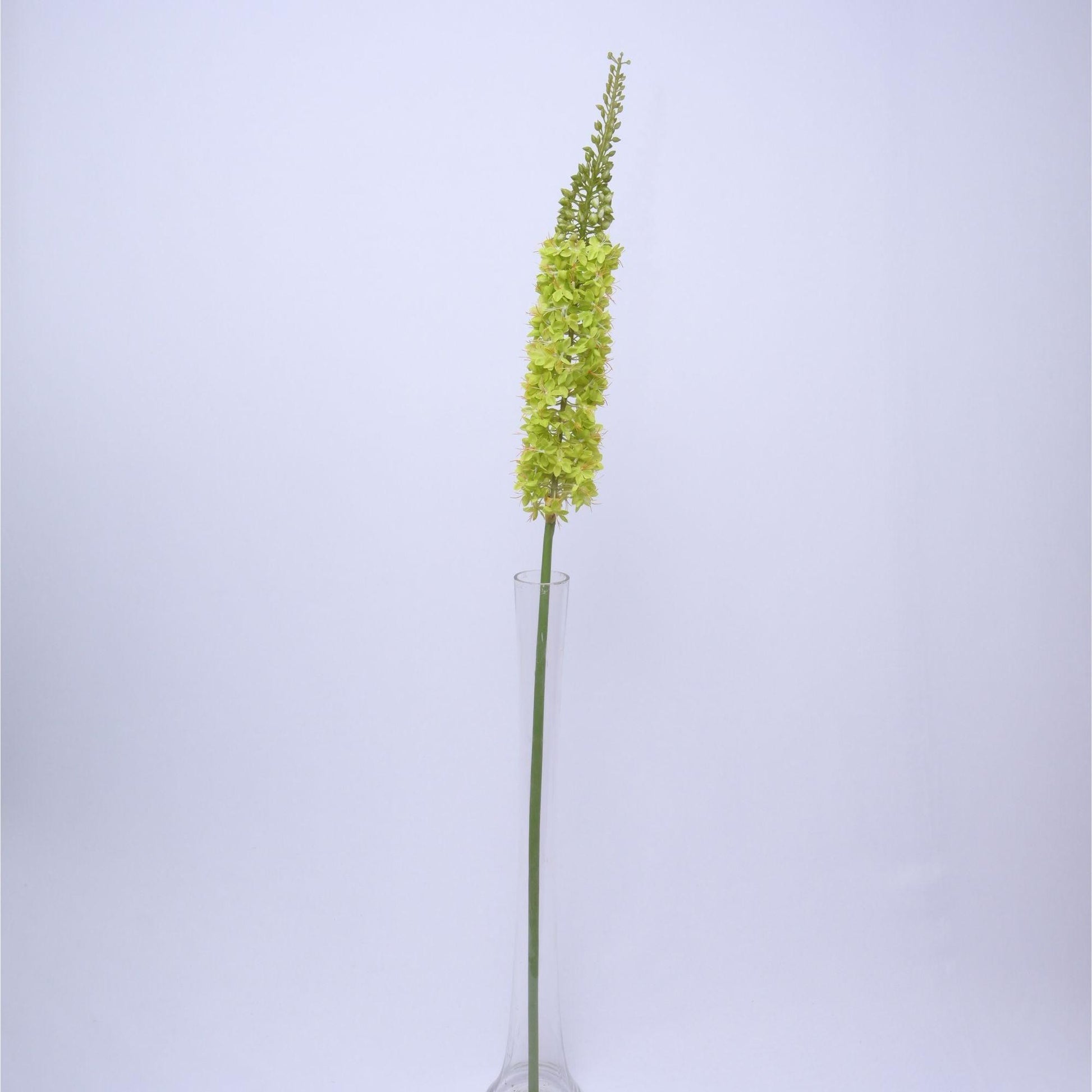 ORIENTAL FLOWERS ARTIFICIAL EREMURUS (PACK OF 1) - Oriental Flowers