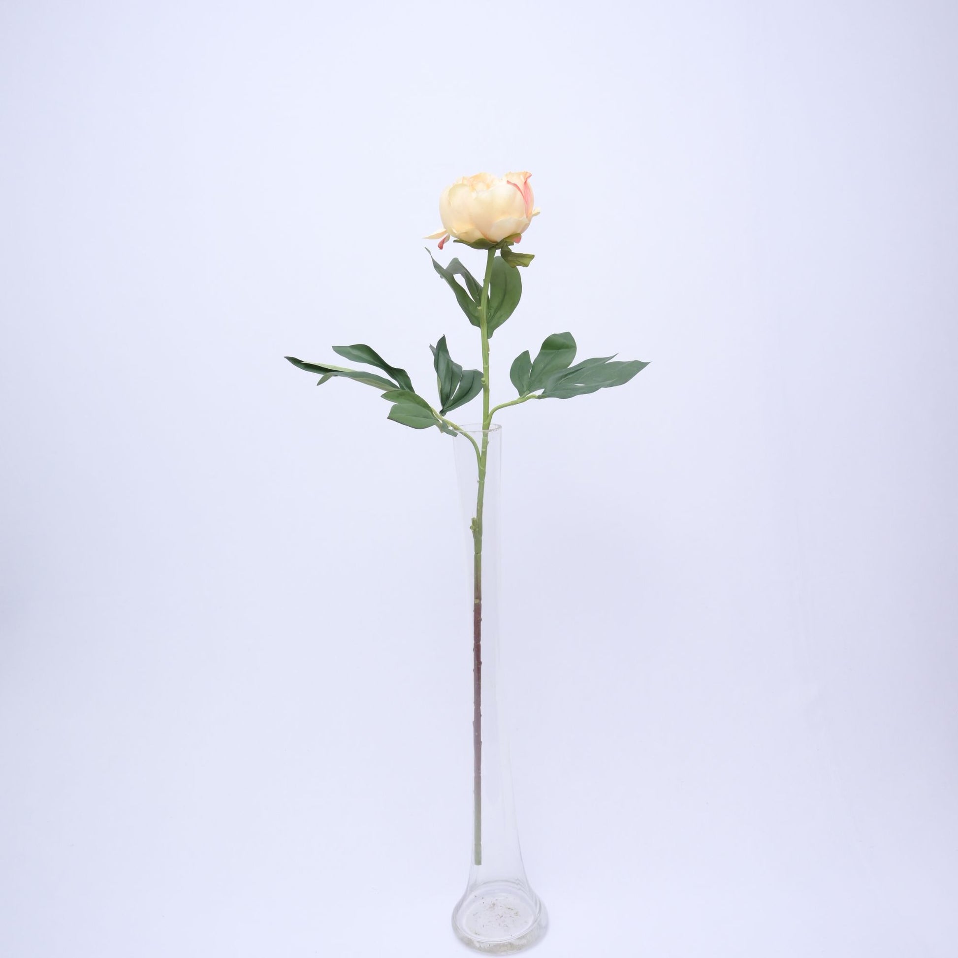 ORIENTAL FLOWERS ARTIFICIAL PEONY STICK (PACK OF 1) - Oriental Flowers