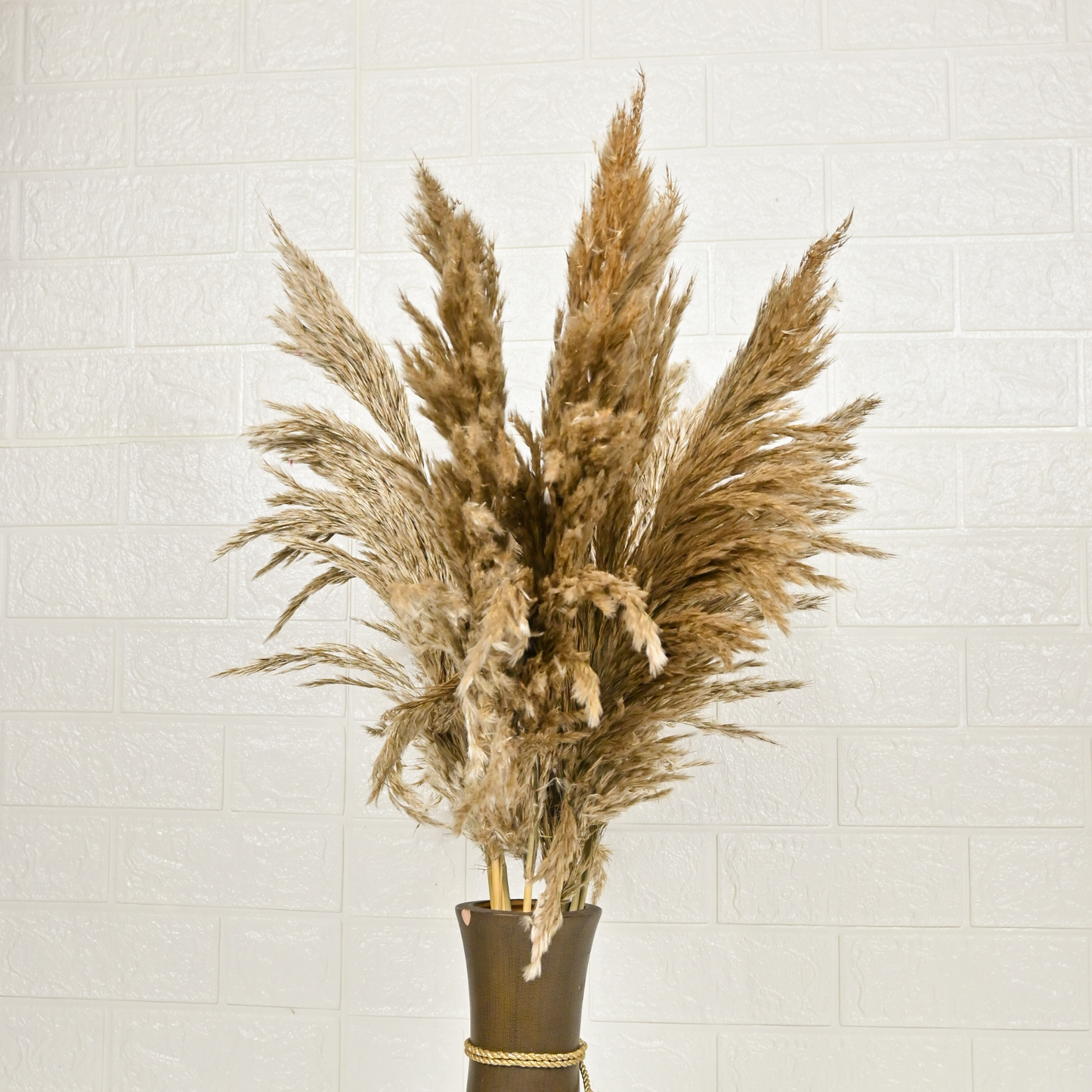 ORIENTAL FLOWERS PAMPAS (PACK OF 10) - Oriental Flowers