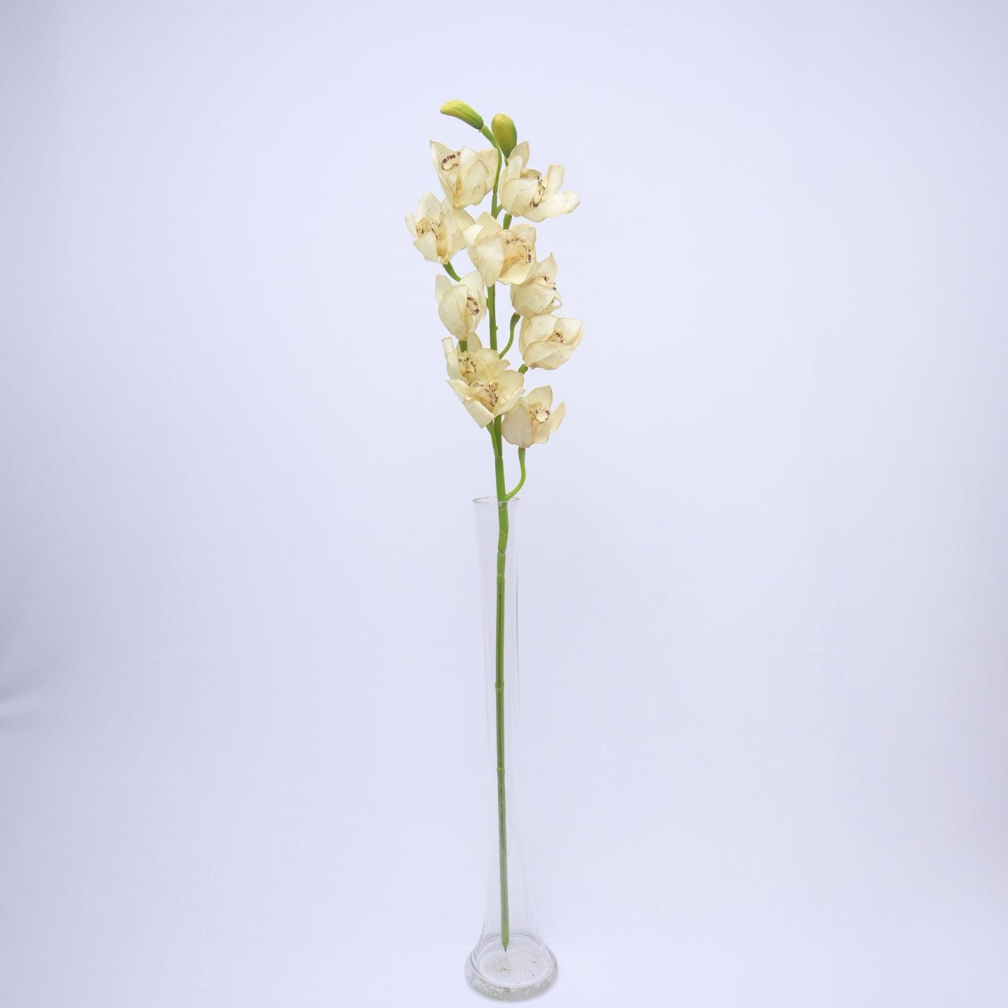 ORIENTAL FLOWERS BEST SELLER ARTIFICIAL CYMBIDIUM (PACK OF 1) - Oriental Flowers