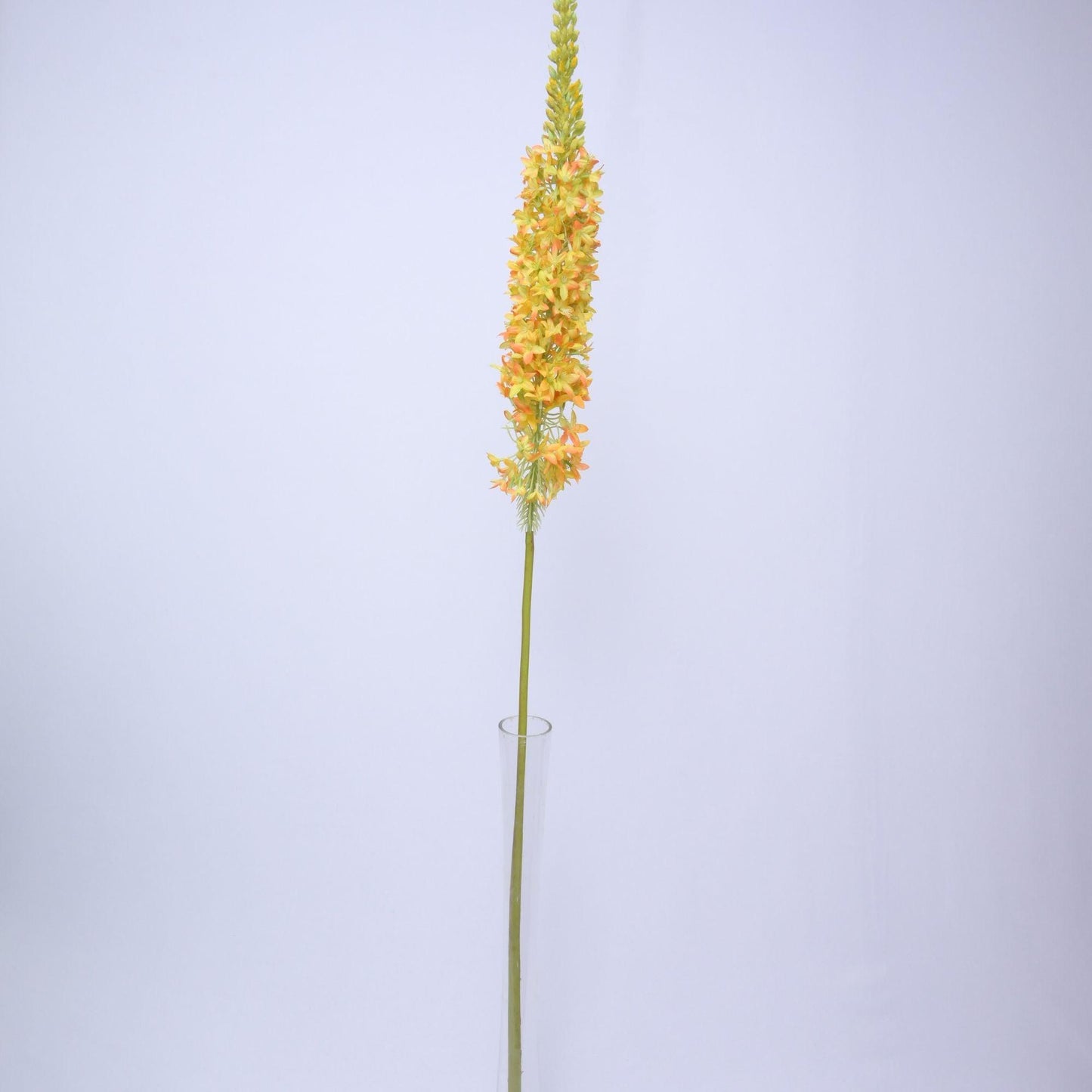 ORIENTAL FLOWERS ARTIFICIAL EREMURUS (PACK OF 1) - Oriental Flowers