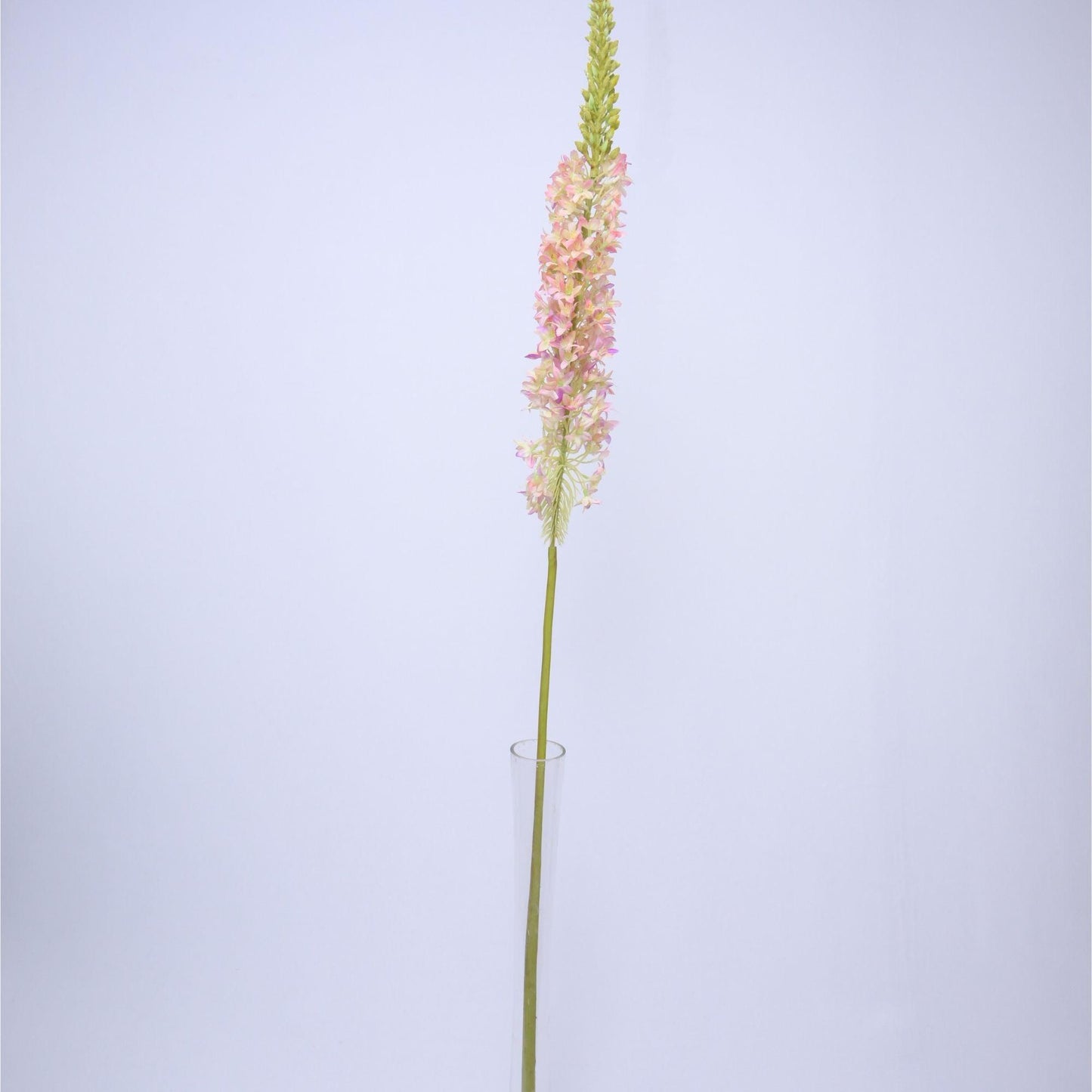 ORIENTAL FLOWERS ARTIFICIAL EREMURUS (PACK OF 1) - Oriental Flowers