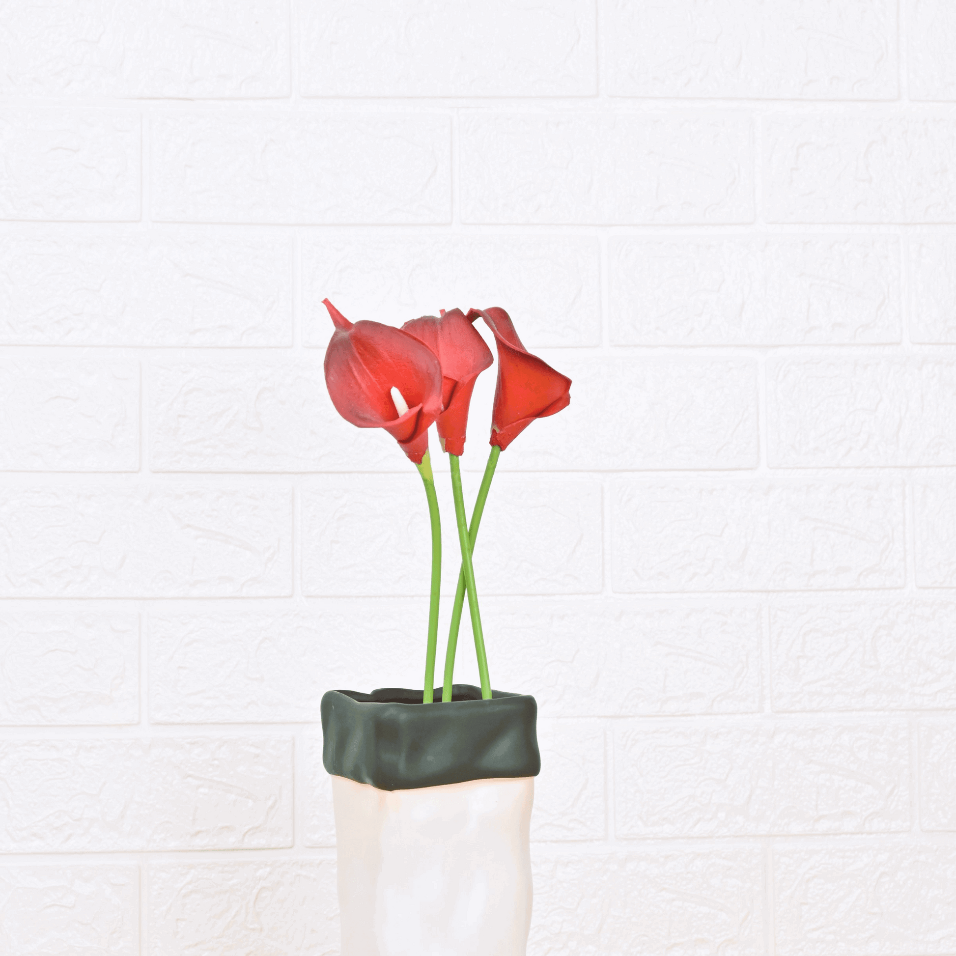 CALLA LILY (PACK OF 2) - Oriental Flowers