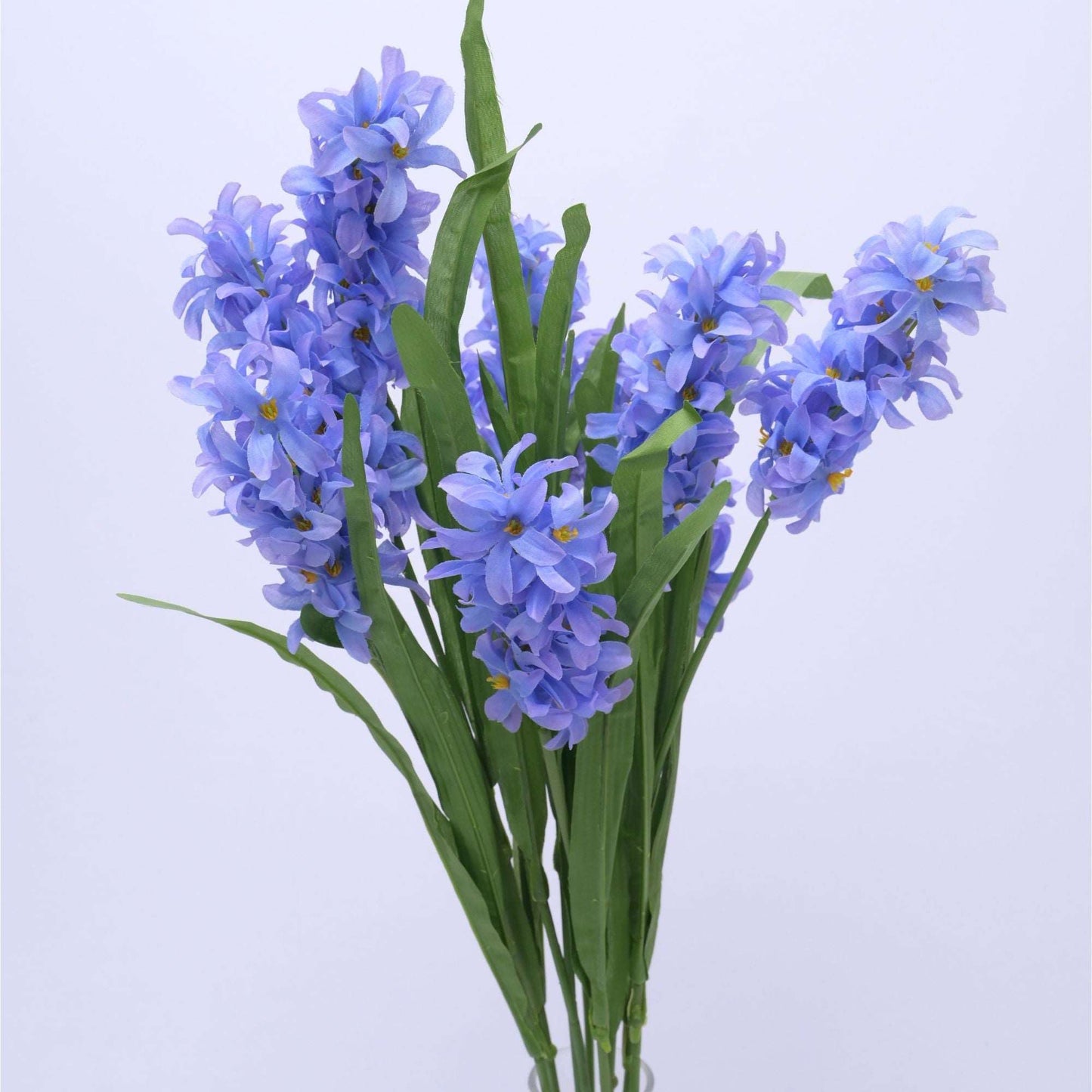 HYACINTH - Oriental Flowers