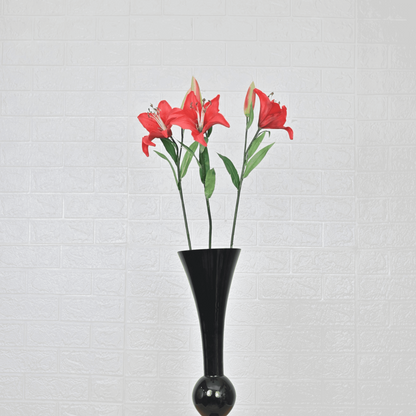 ASIATIC LILY (PACK OF 1) - Oriental Flowers