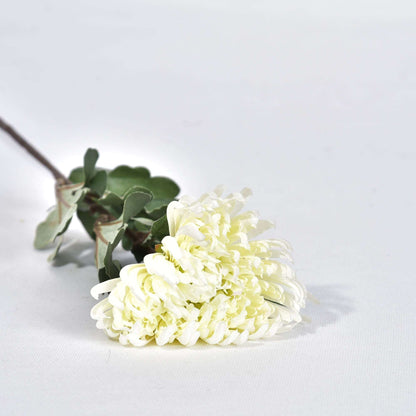 CHRYSANTHEMUM SPIDER - Oriental Flowers