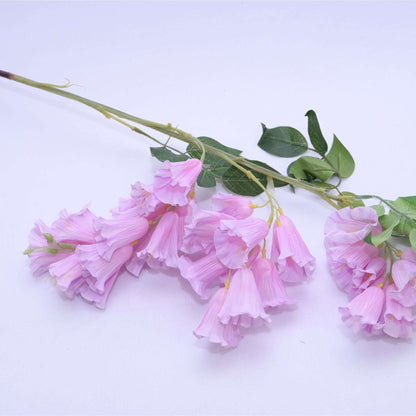 HANGING LILY - Oriental Flowers