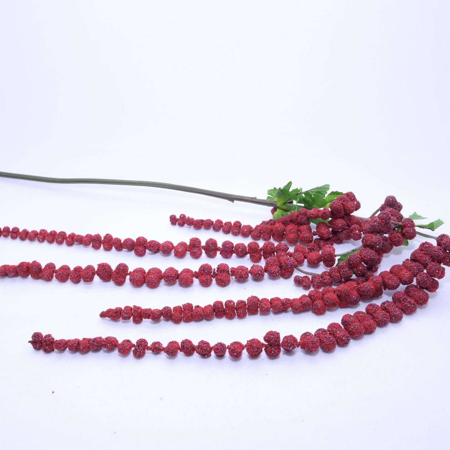 AMARANTHUS - Oriental Flowers