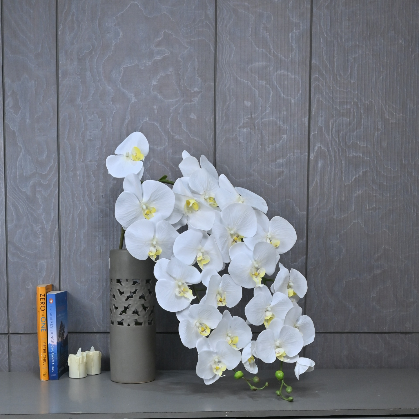 PHALAENOPSIS (PACK OF 1)