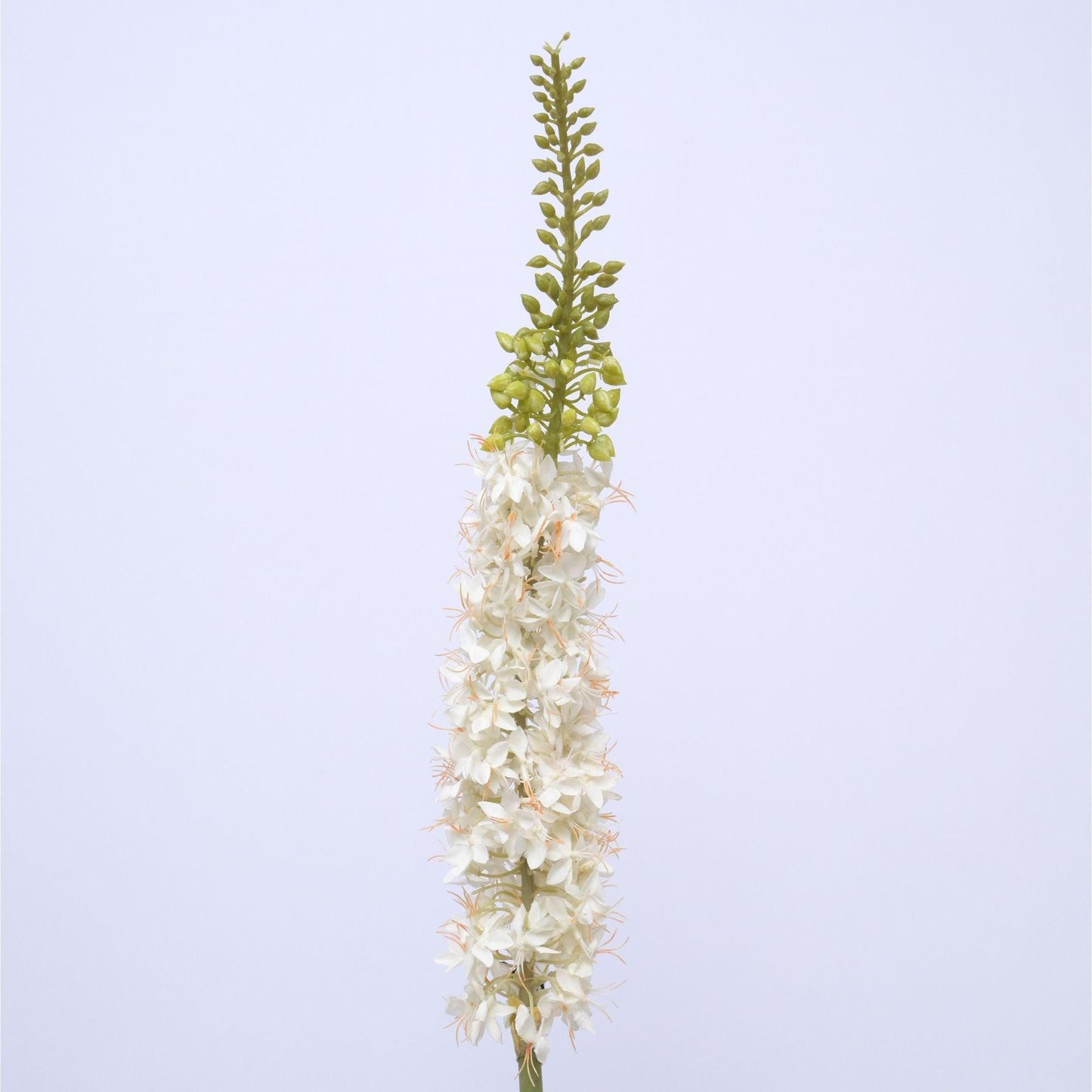 ORIENTAL FLOWERS ARTIFICIAL EREMURUS (PACK OF 1) - Oriental Flowers