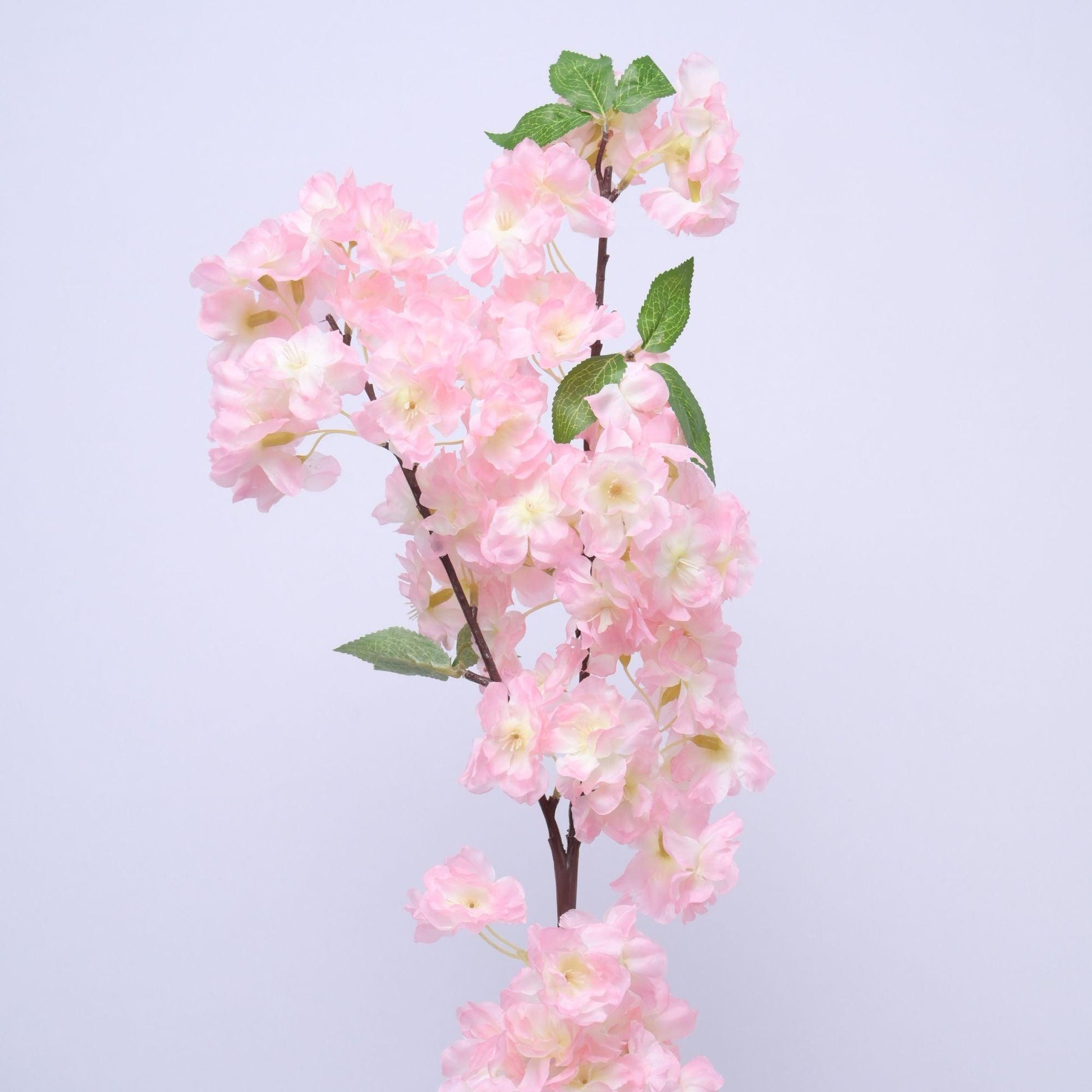 ORIENTAL FLOWERS BEST SELLER ARTIFICIAL CHERRY BLOSSOM (PACK OF 1) - Oriental Flowers