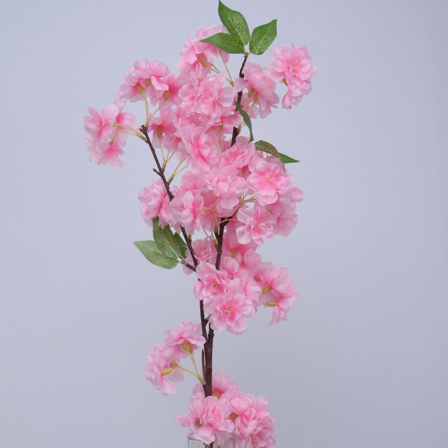 ORIENTAL FLOWERS BEST SELLER ARTIFICIAL CHERRY BLOSSOM (PACK OF 1) - Oriental Flowers