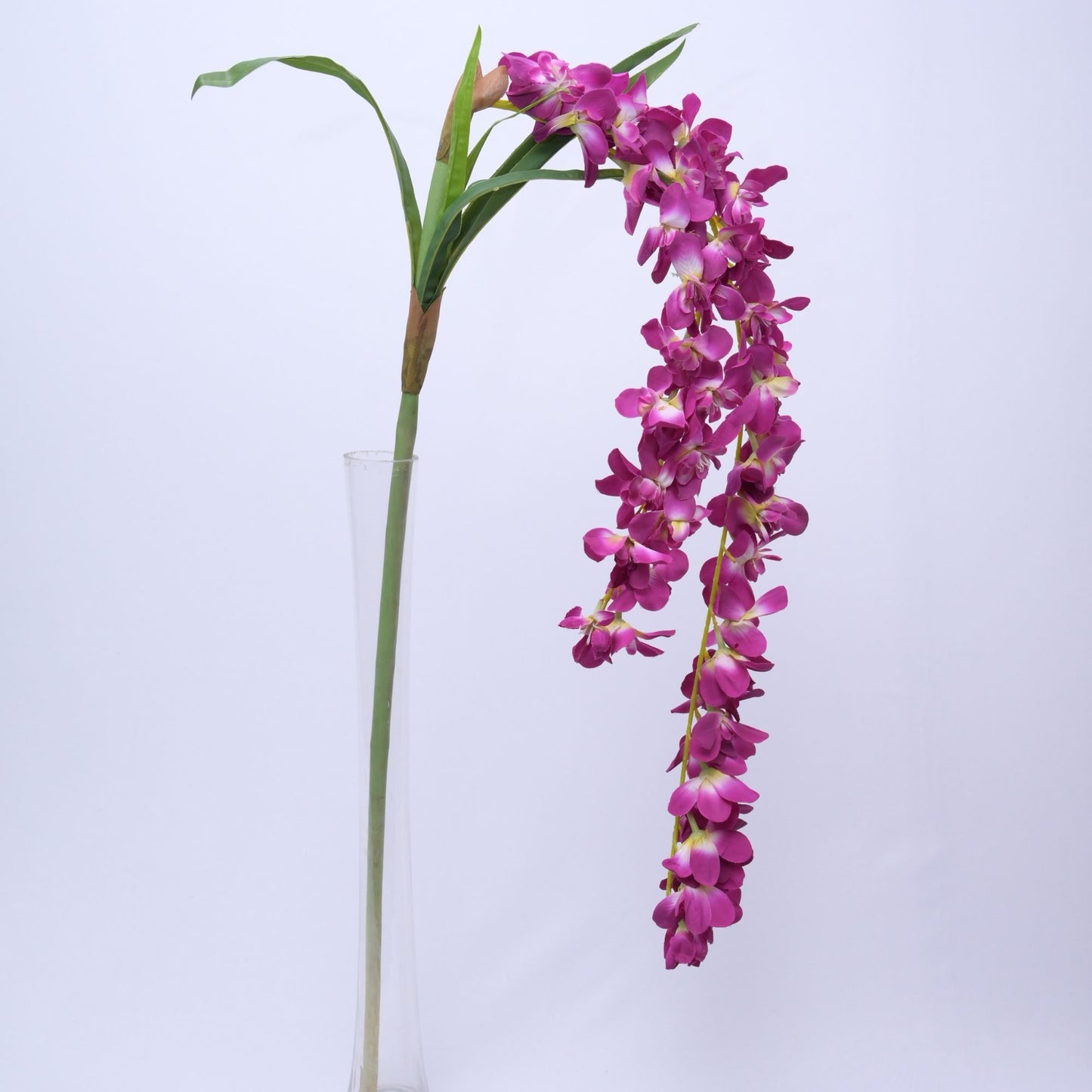 ORIENTAL FLOWERS ARTIFICIAL ORCHID HANGING DUAL STRING (PACK OF 1) - Oriental Flowers