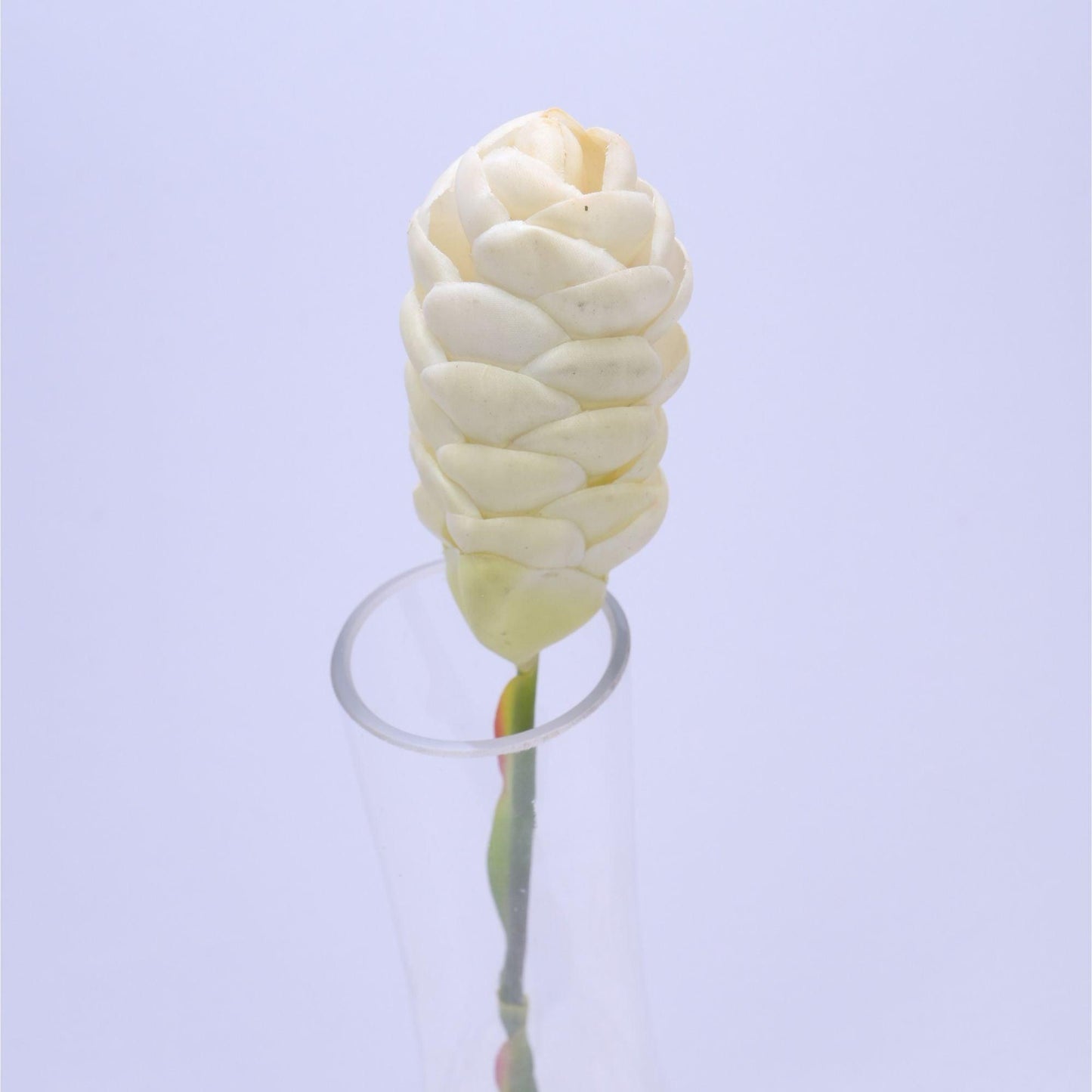 ORIENTAL FLOWERS ARTIFICIAL GINGER BITTER (PACK OF 1) - Oriental Flowers