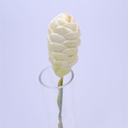 ORIENTAL FLOWERS ARTIFICIAL GINGER BITTER (PACK OF 1) - Oriental Flowers