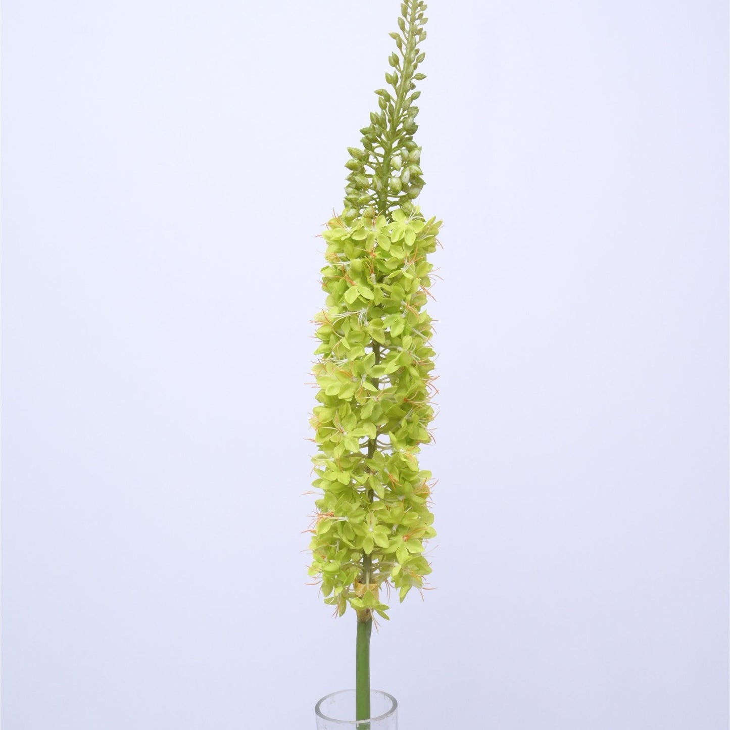 ORIENTAL FLOWERS ARTIFICIAL EREMURUS (PACK OF 1) - Oriental Flowers