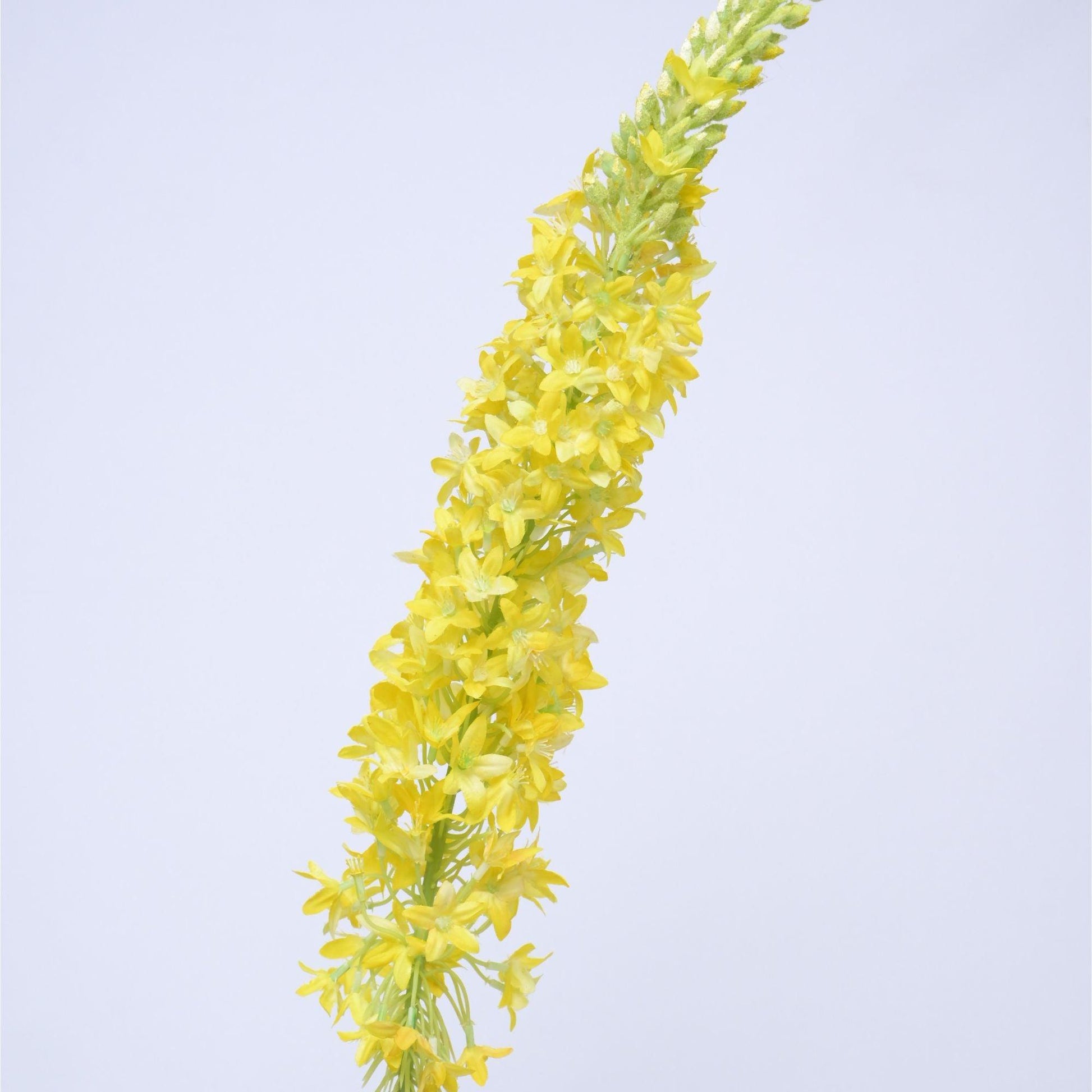 ORIENTAL FLOWERS ARTIFICIAL EREMURUS (PACK OF 1) - Oriental Flowers