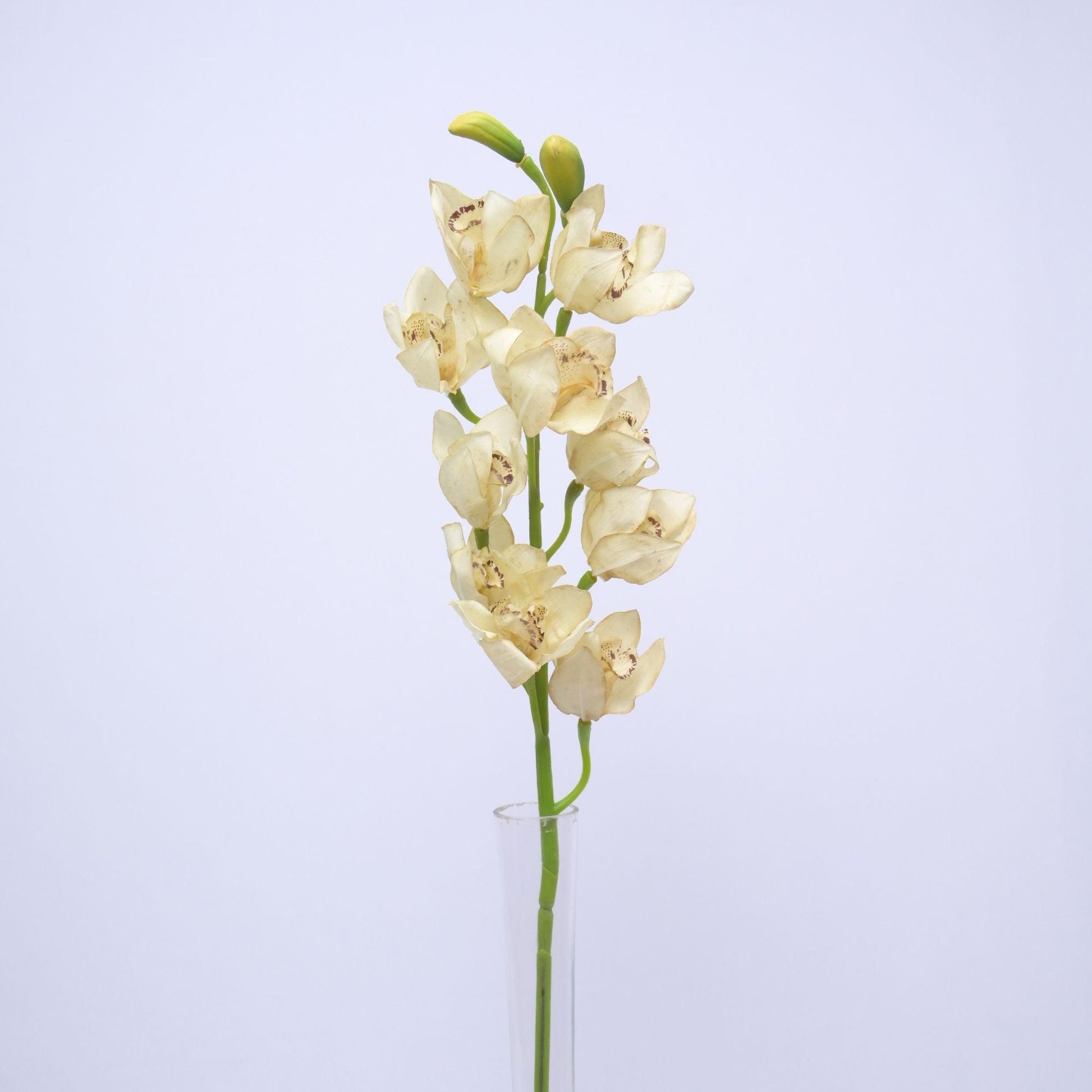 ORIENTAL FLOWERS BEST SELLER ARTIFICIAL CYMBIDIUM (PACK OF 1) - Oriental Flowers