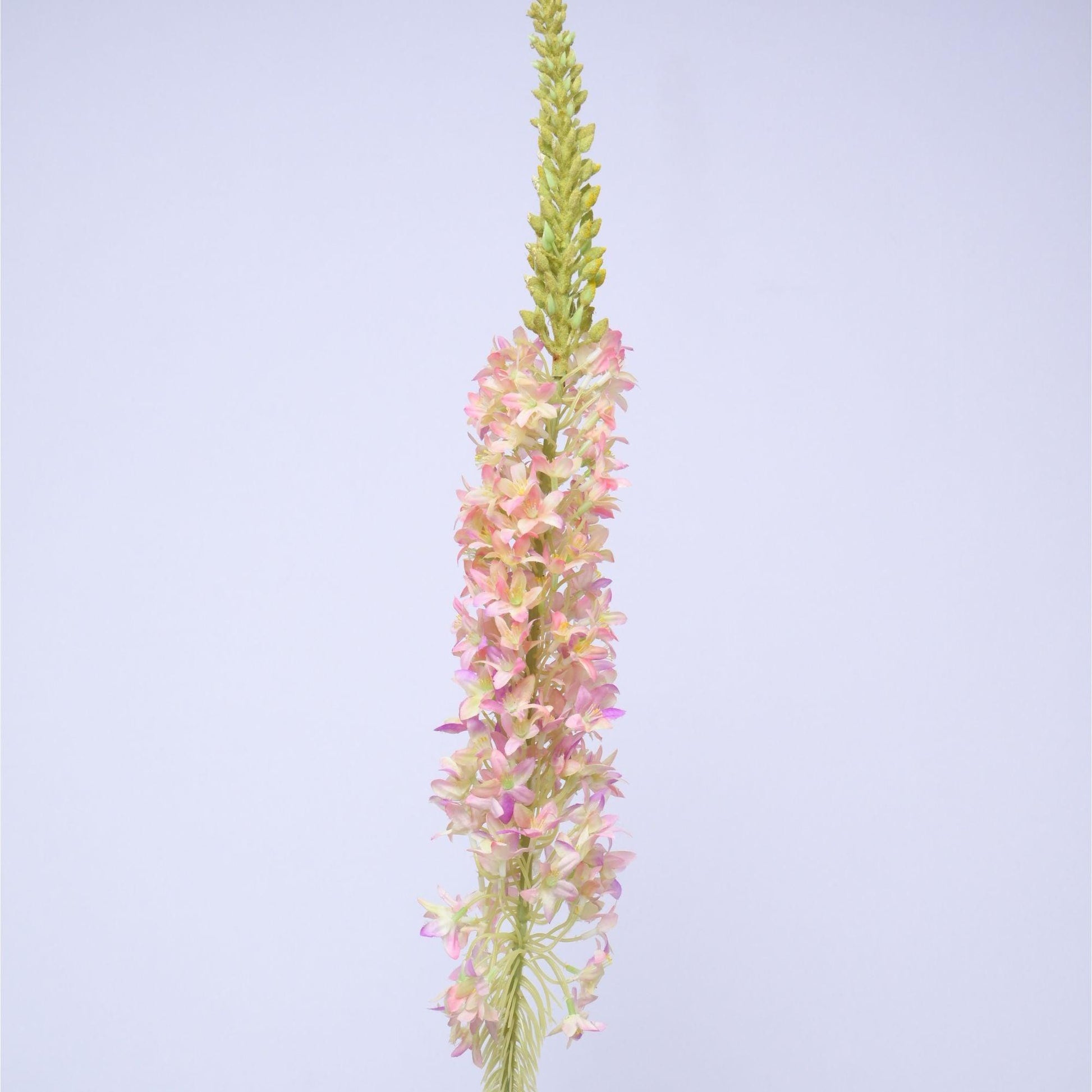 ORIENTAL FLOWERS ARTIFICIAL EREMURUS (PACK OF 1) - Oriental Flowers