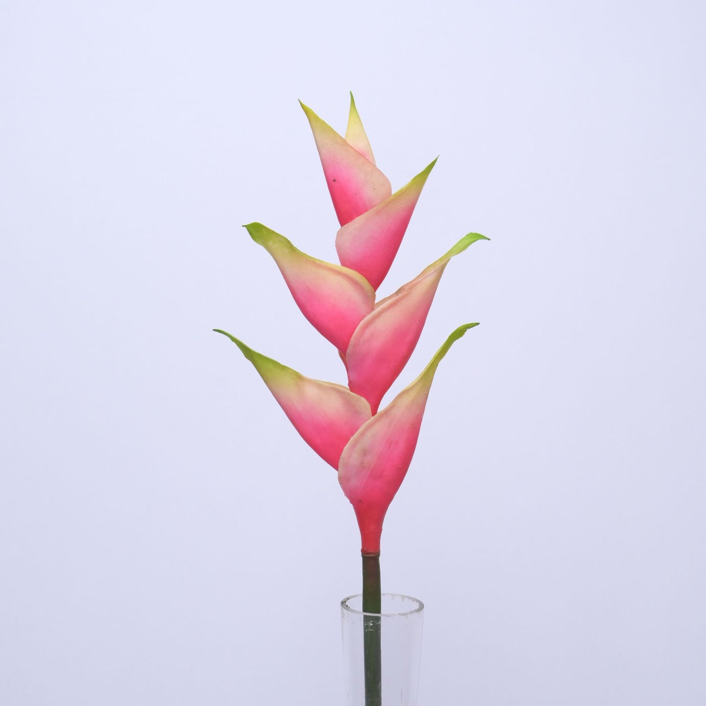 ORIENTAL FLOWERS ARTIFICIAL HELICONIA (PACK OF 1) - Oriental Flowers