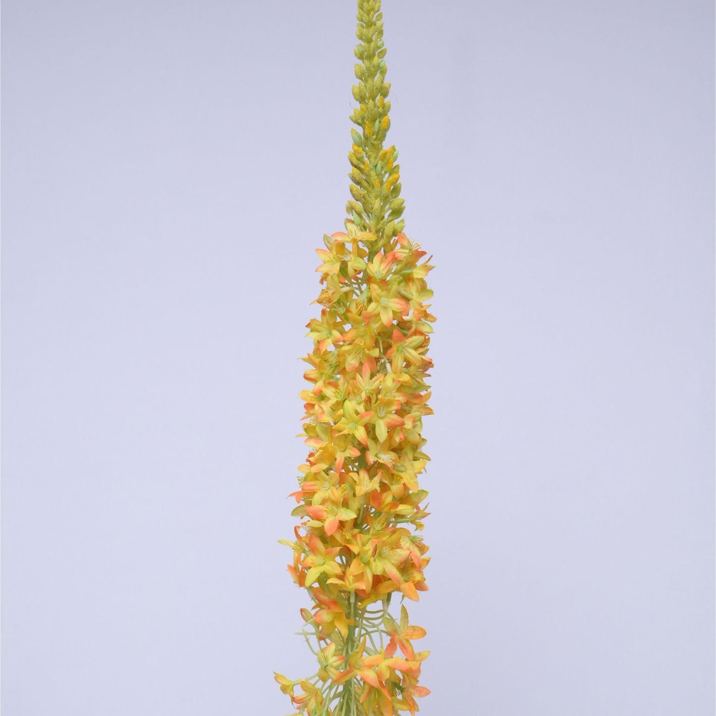 ORIENTAL FLOWERS ARTIFICIAL EREMURUS (PACK OF 1) - Oriental Flowers