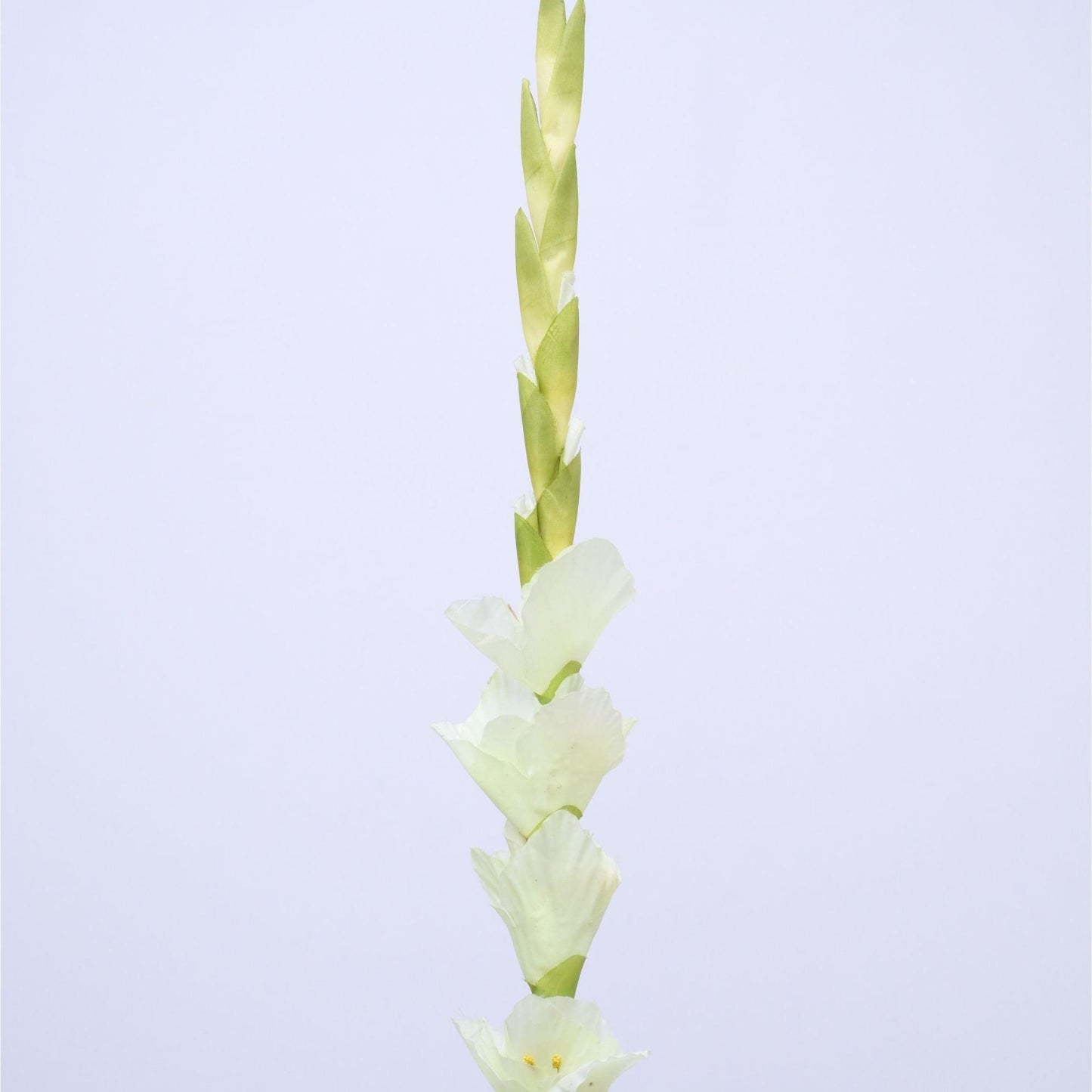 ORIENTAL FLOWERS ARTIFICIAL GLADIOLUS (PACK OF 2) - Oriental Flowers