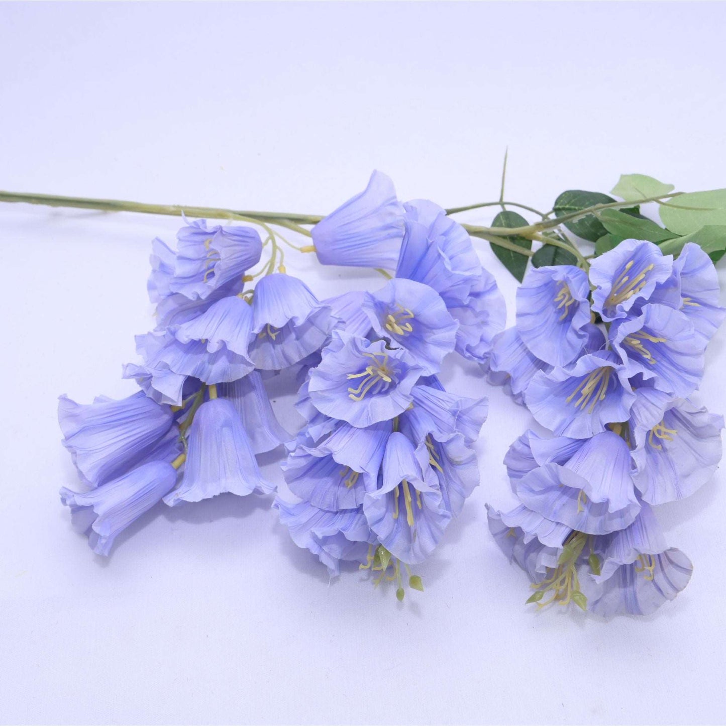 HANGING LILY - Oriental Flowers