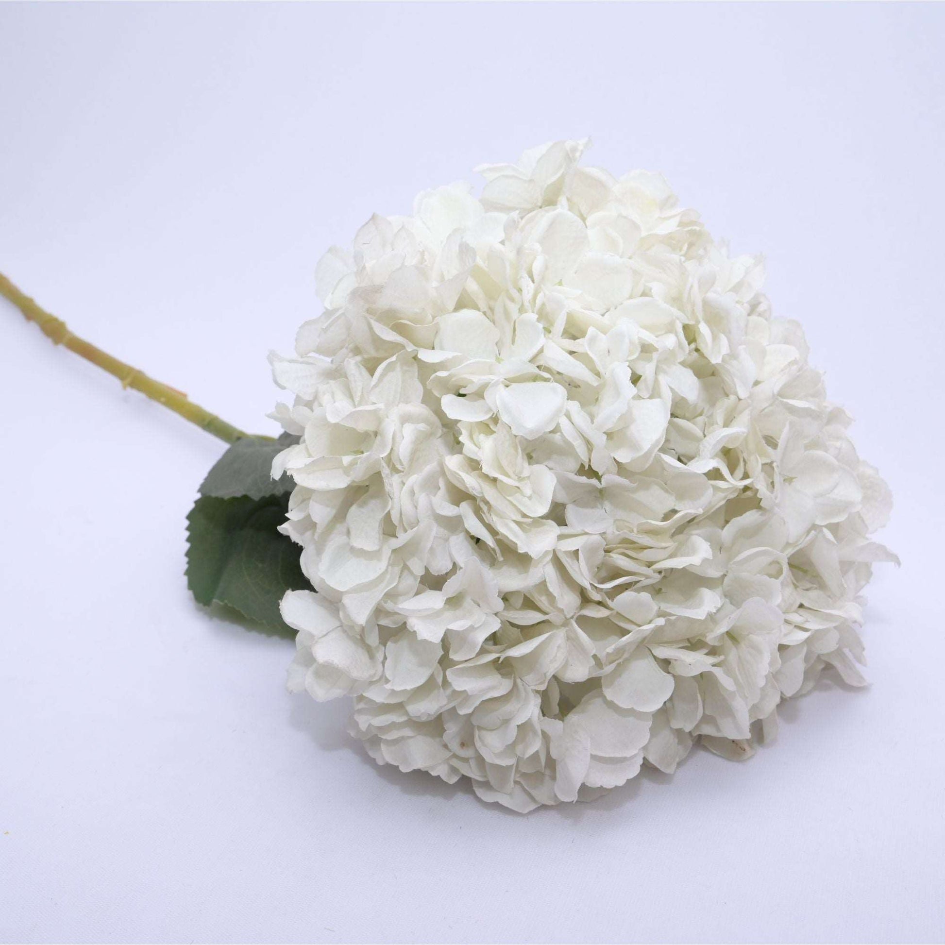 HYDRANGEA JUMBO STICK - Oriental Flowers