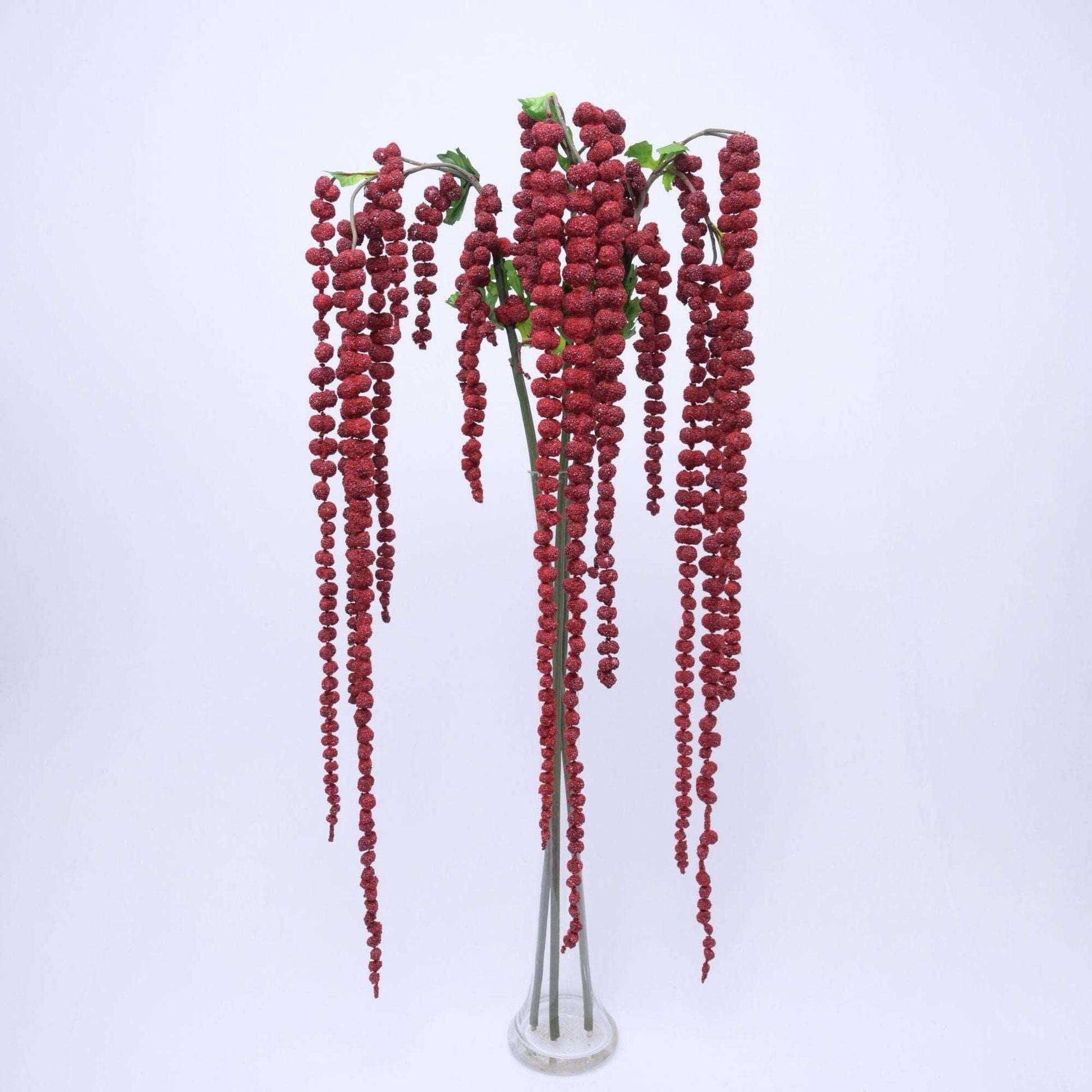 AMARANTHUS - Oriental Flowers