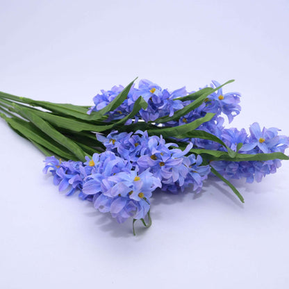 HYACINTH - Oriental Flowers