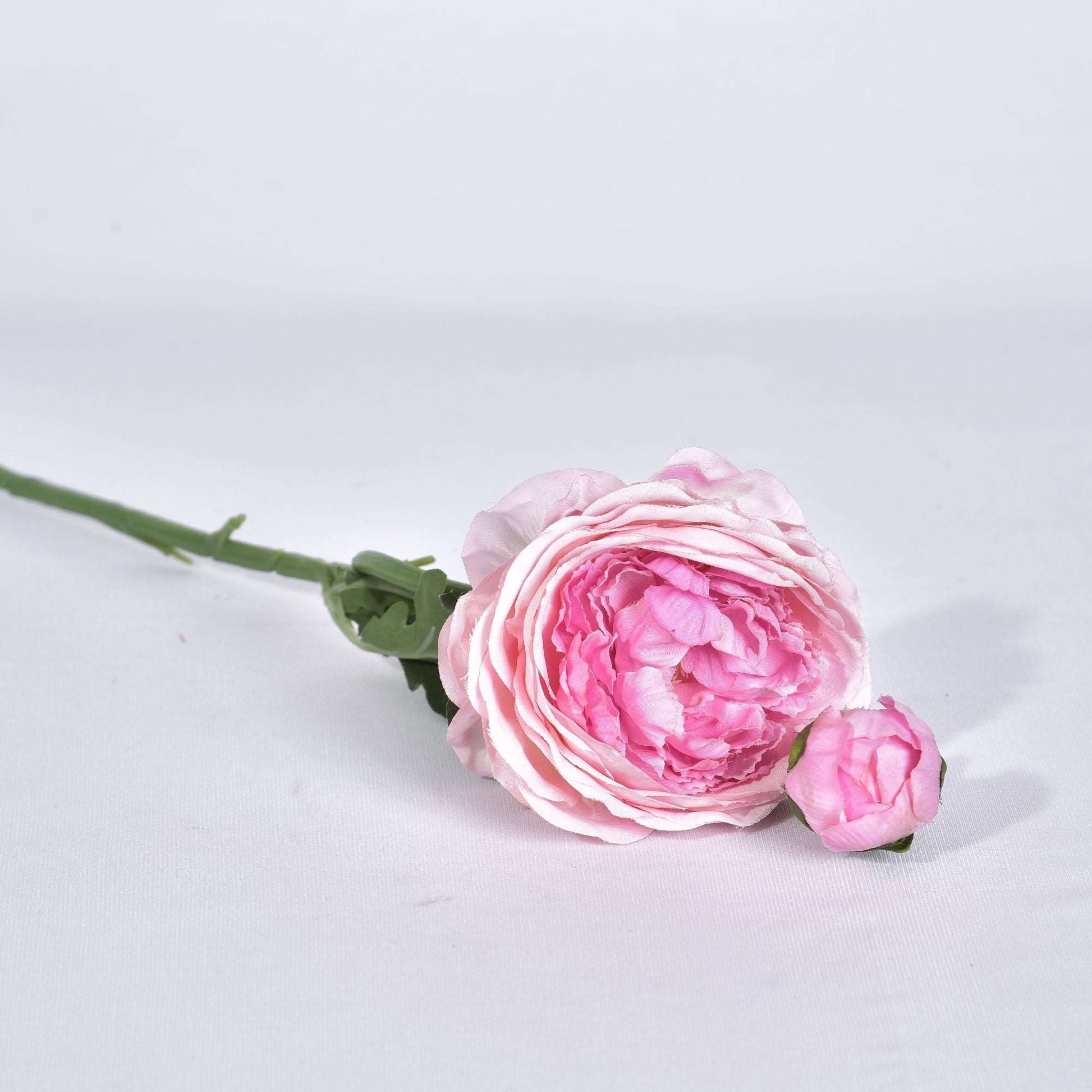 RANUNCULUS STICK - Oriental Flowers