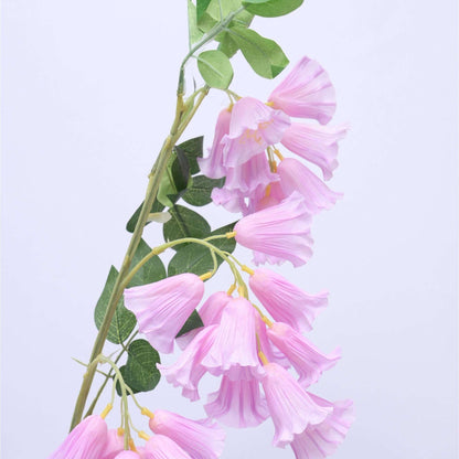 HANGING LILY - Oriental Flowers