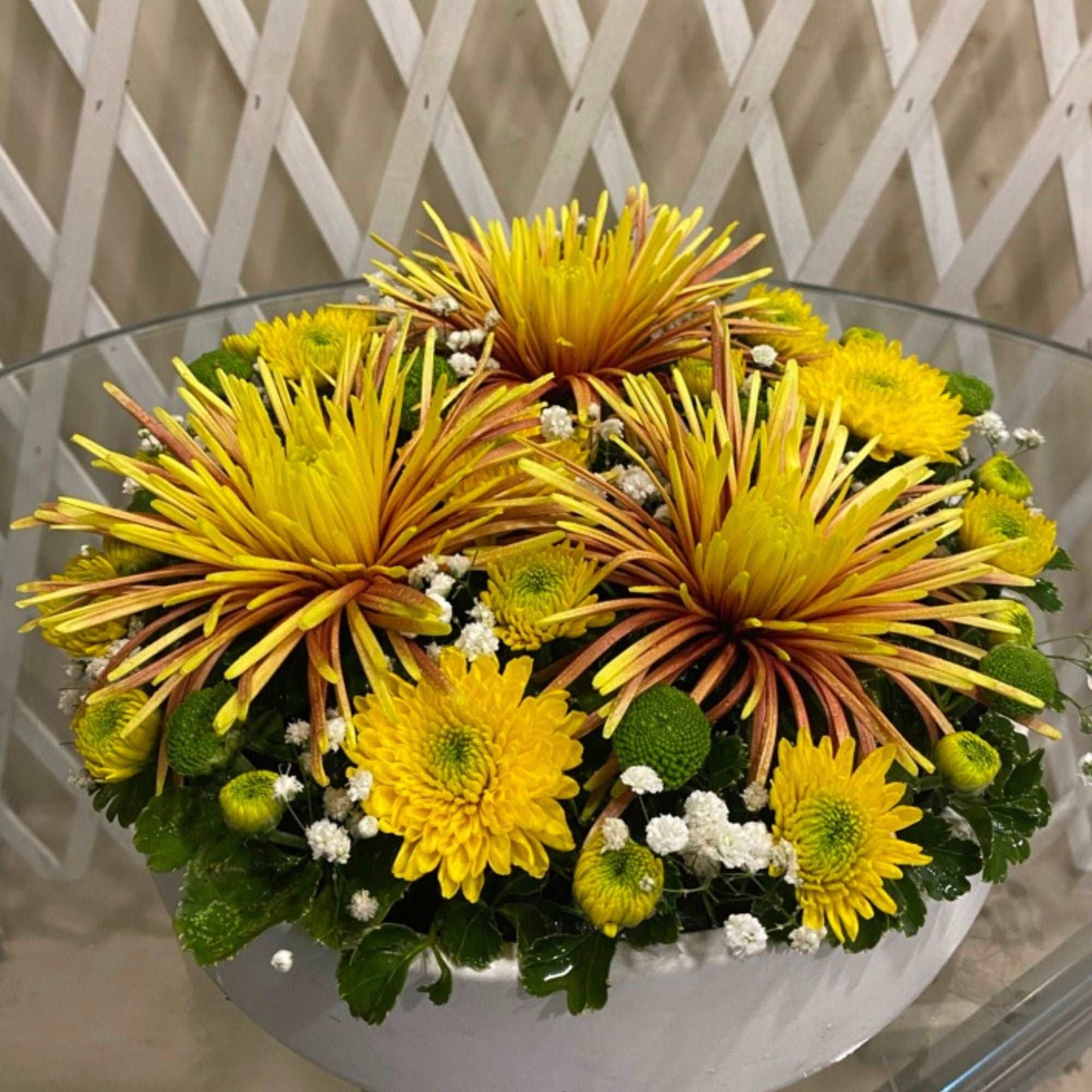 Dazzling Daisy Dreams Fresh Flower Bouquet Buy In Kolkata