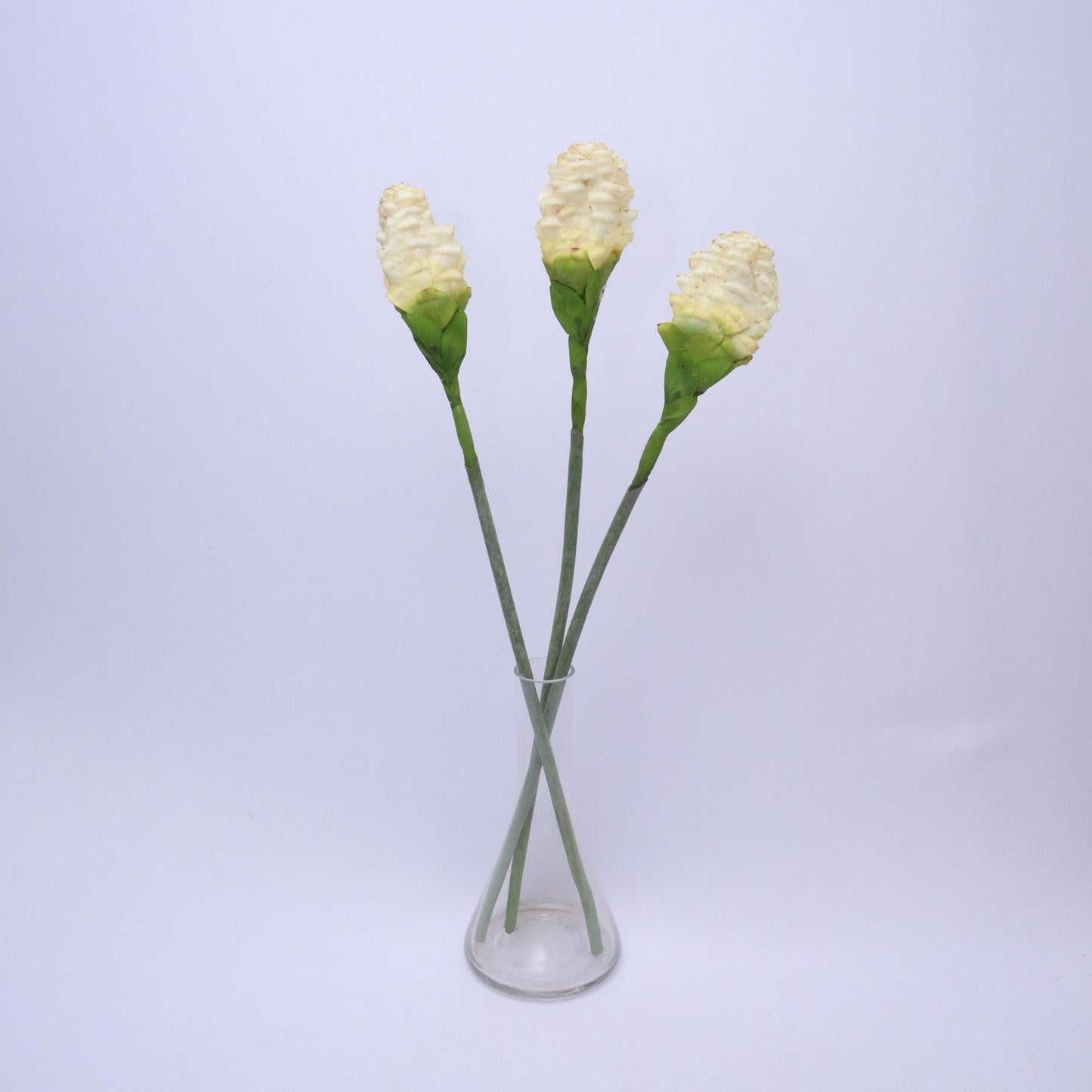 ORIENTAL FLOWERS ARTIFICIAL GINGER TORCH (PACK OF 1) - Oriental Flowers