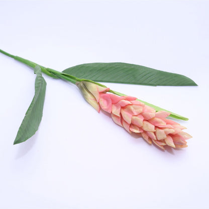 ORIENTAL FLOWERS ARTIFICIAL GINGER (PACK OF 1) - Oriental Flowers