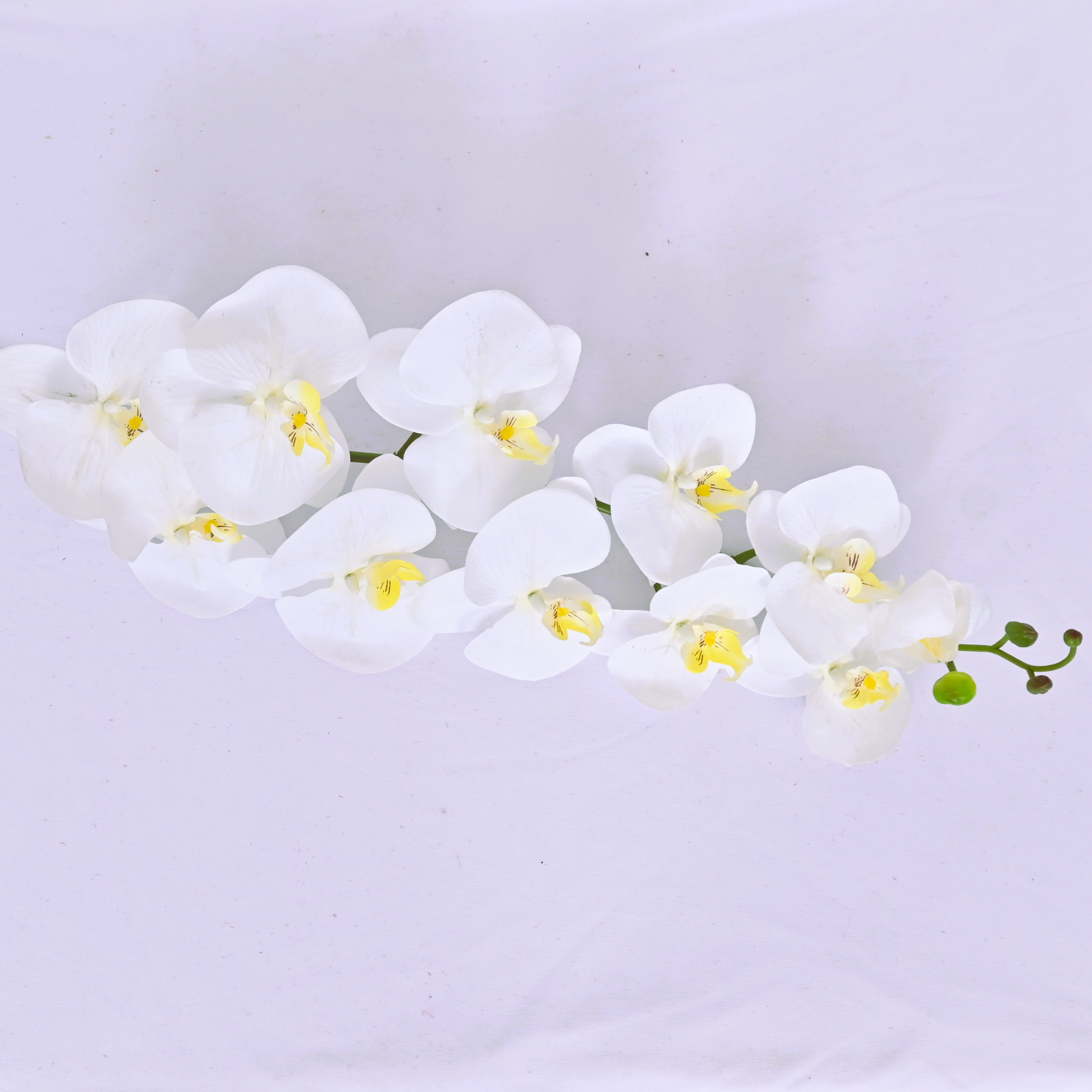 ORIENTAL FLOWERS BEST SELLER ARTIFICIAL PHALAENOPSIS (PACK OF 1) - Oriental Flowers