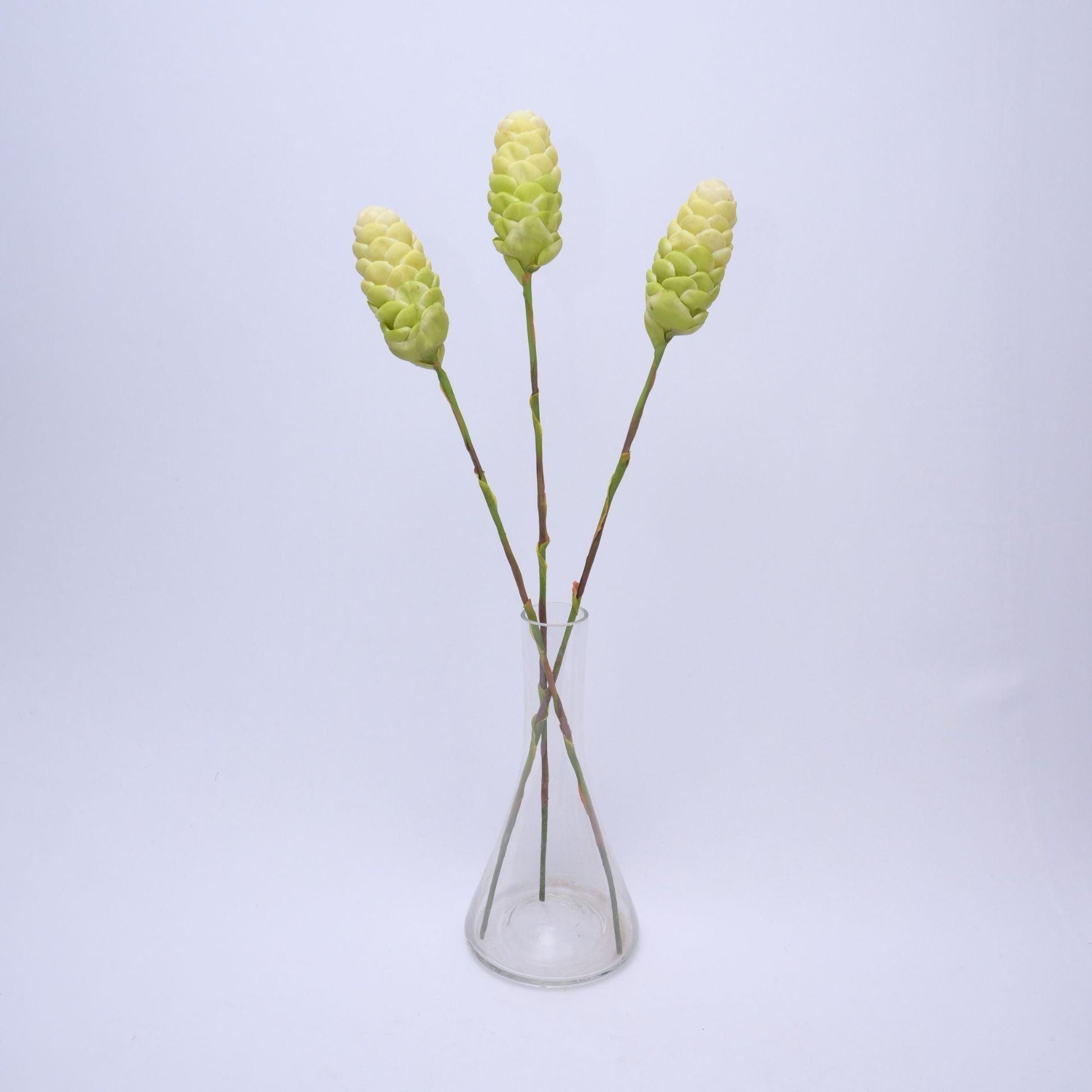 ORIENTAL FLOWERS ARTIFICIAL GINGER BITTER (PACK OF 1) - Oriental Flowers