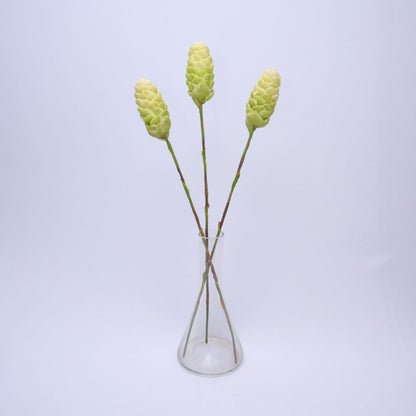 ORIENTAL FLOWERS ARTIFICIAL GINGER BITTER (PACK OF 1) - Oriental Flowers