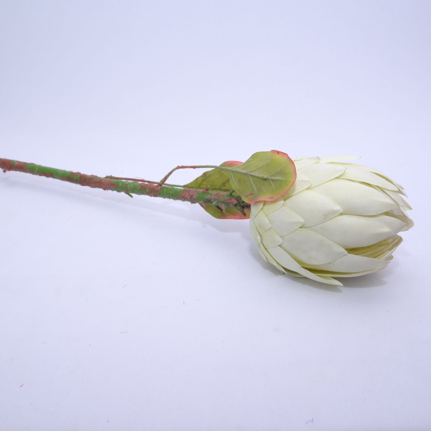 ORIENTAL FLOWERS ARTIFICIAL PROTEA (PACK OF 1) - Oriental Flowers