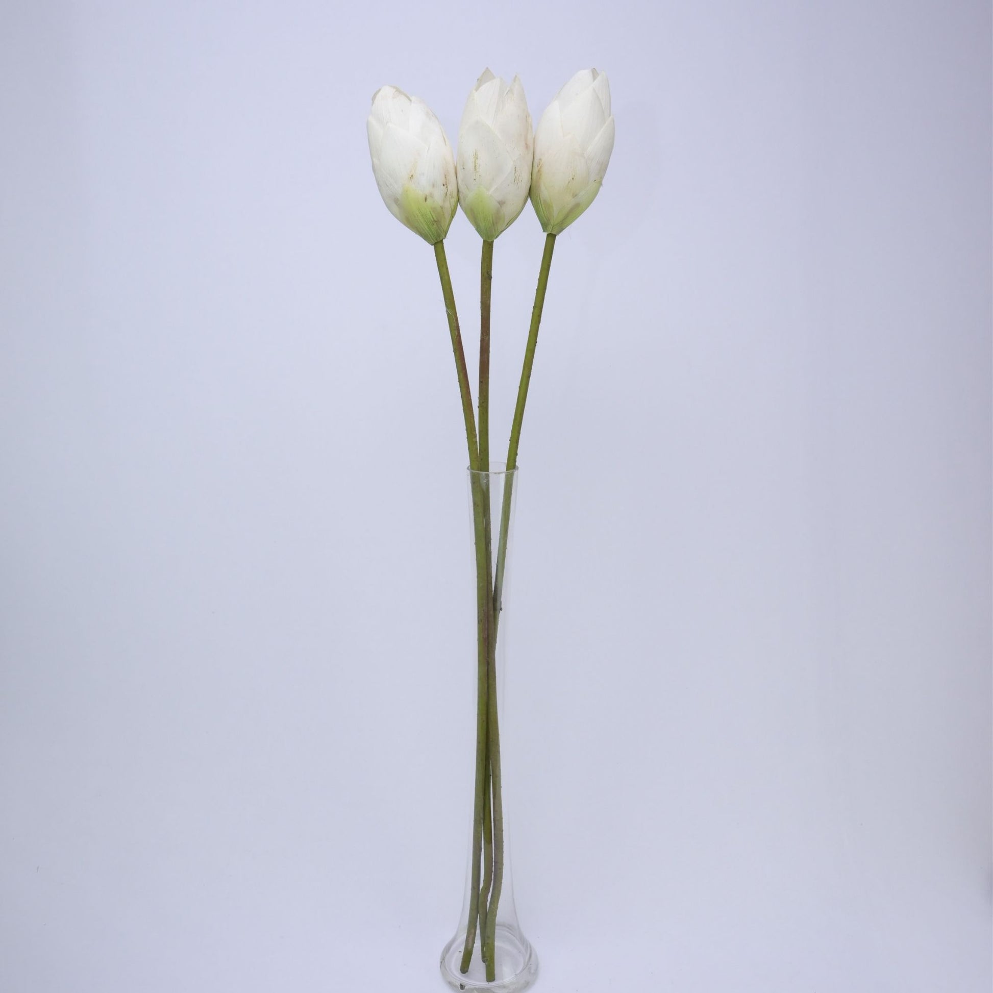 ORIENTAL FLOWERS ARTIFICIAL LOTUS BUD (PACK OF 2) - Oriental Flowers