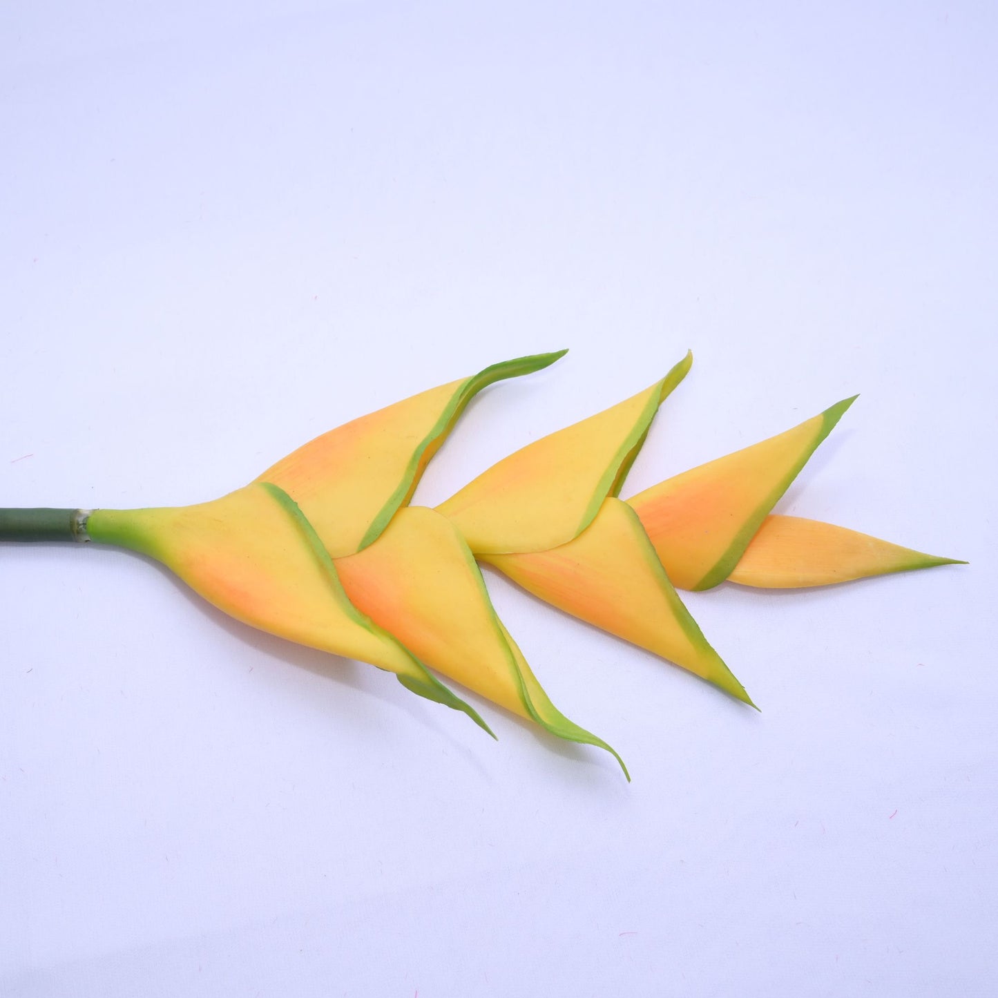 ORIENTAL FLOWERS ARTIFICIAL HELICONIA (PACK OF 1) - Oriental Flowers