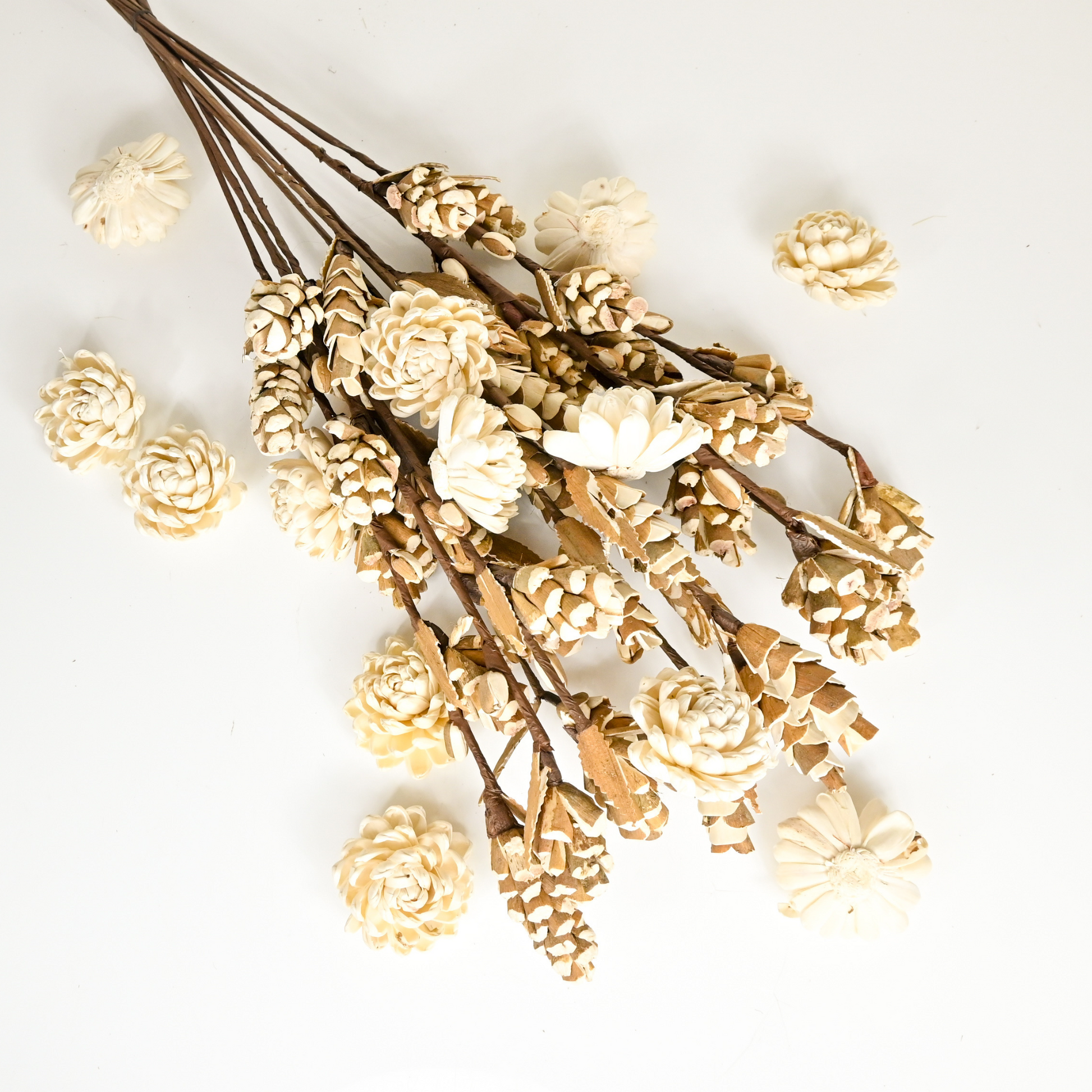 ORIENTAL FLOWERS SOLA WOOD PINE STICK (PACK OF 5) - Oriental Flowers