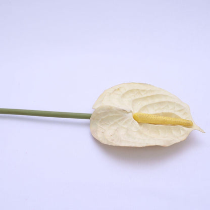 ORIENTAL FLOWERS ARTIFICIAL ANTHURIUM (PACK OF 3) - Oriental Flowers